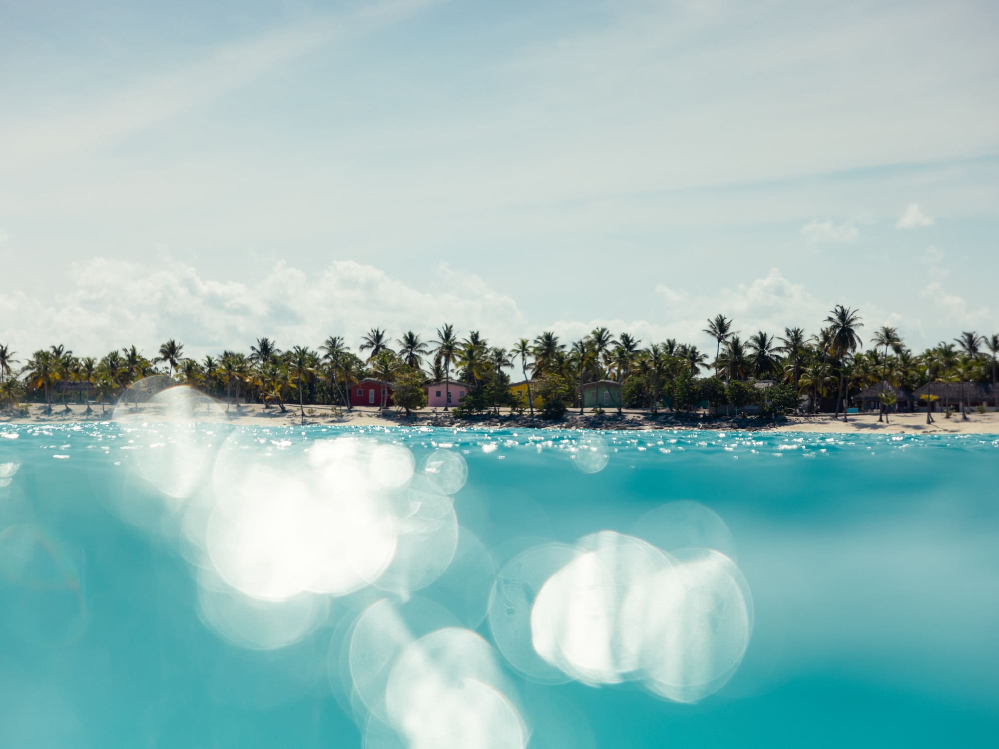 a beach with palm trees and a sandy beach