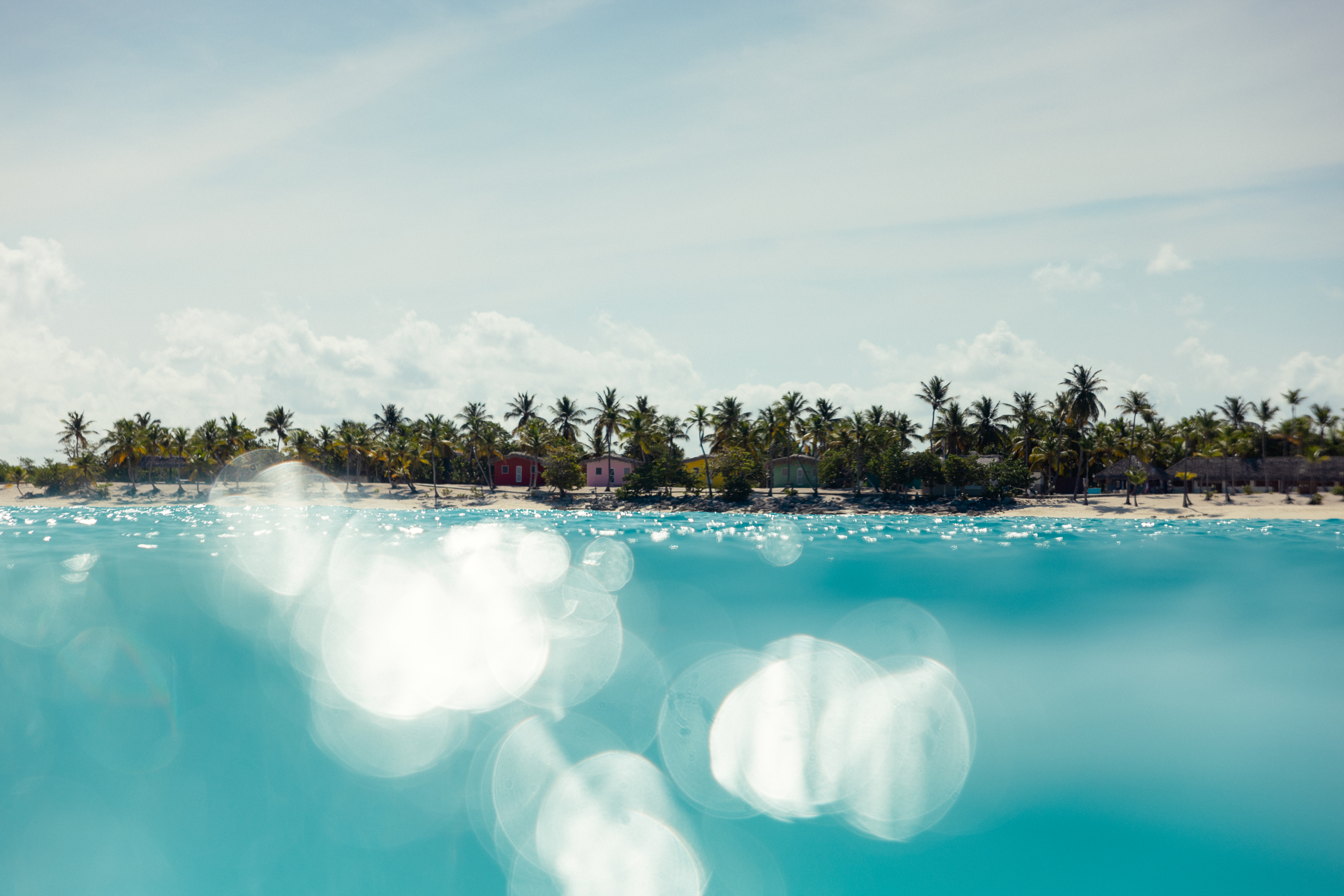 a beach with palm trees and a sandy beach
