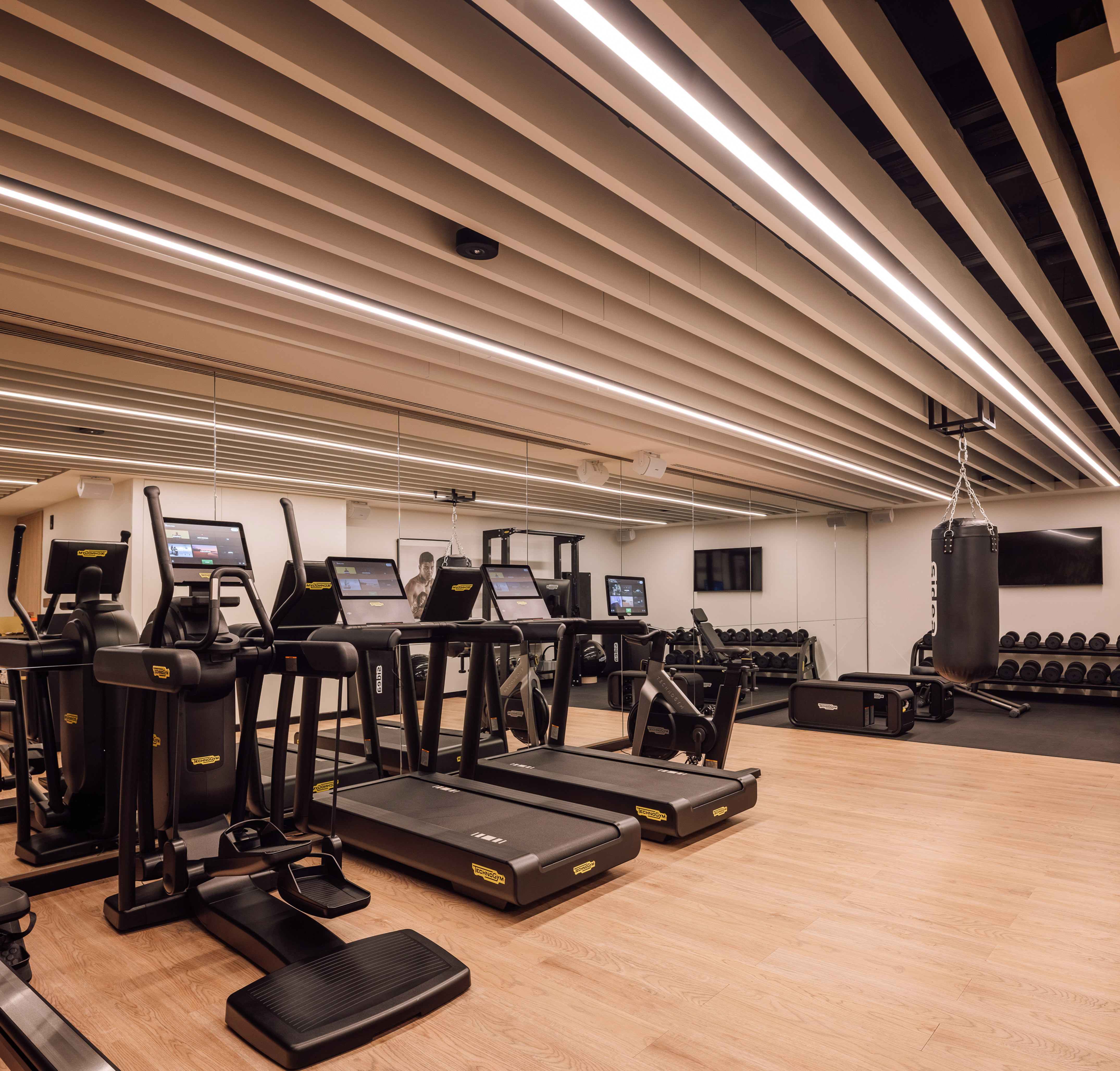 Modern gym interior with cardio equipment, free weights, and a punching bag.