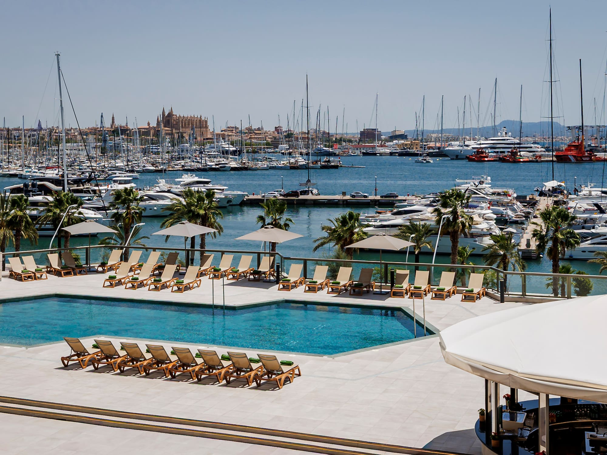 Piscina y tumbonas con vista a la marina de Palma y la Catedral de Mallorca.
