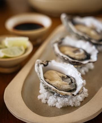 a plate of oysters on a plate