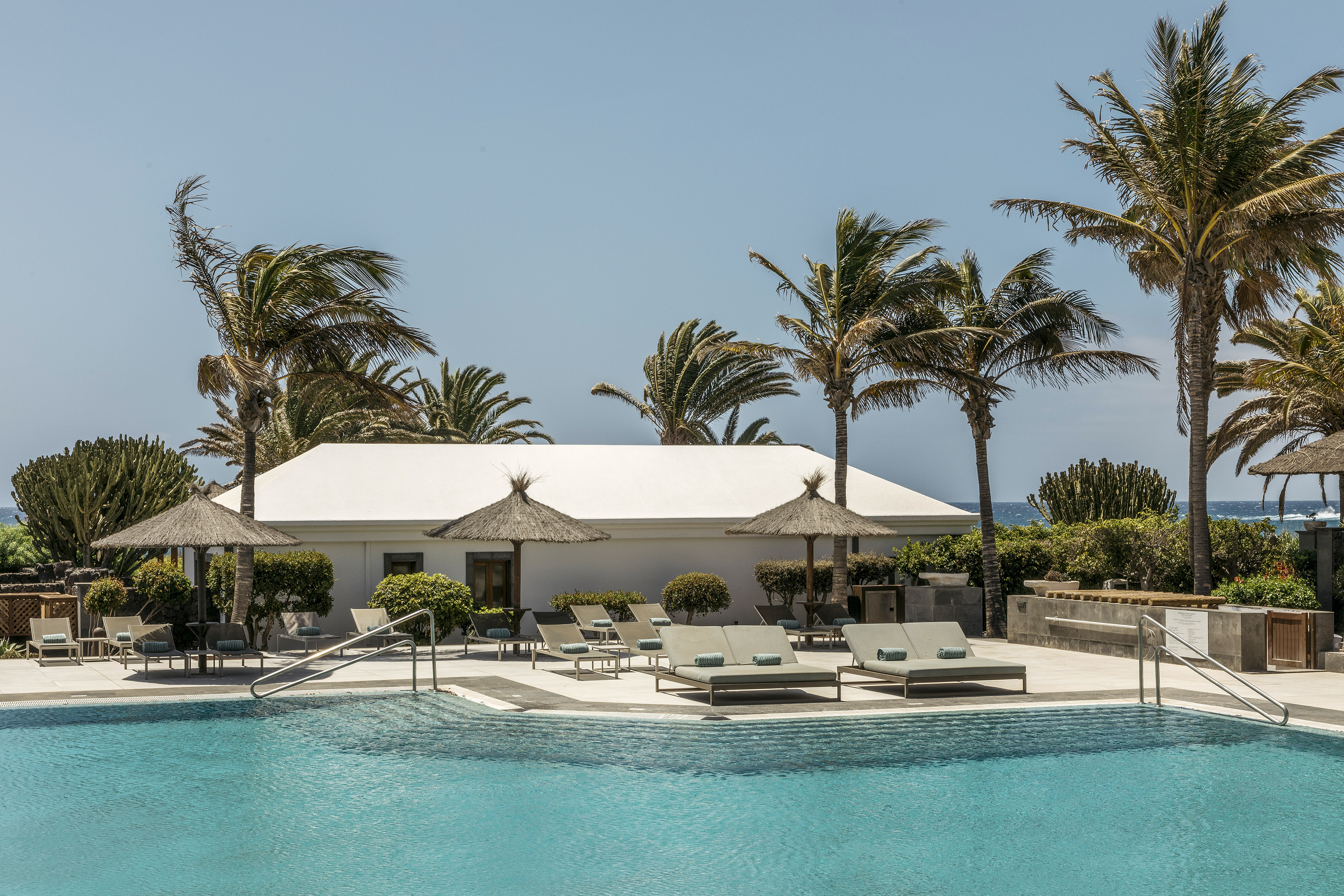 Resort pool with modern sun loungers, palm trees, and ocean view.