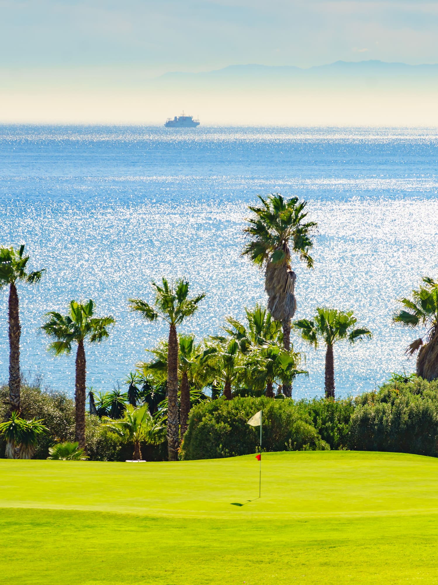 a golf course with palm trees and a body of water