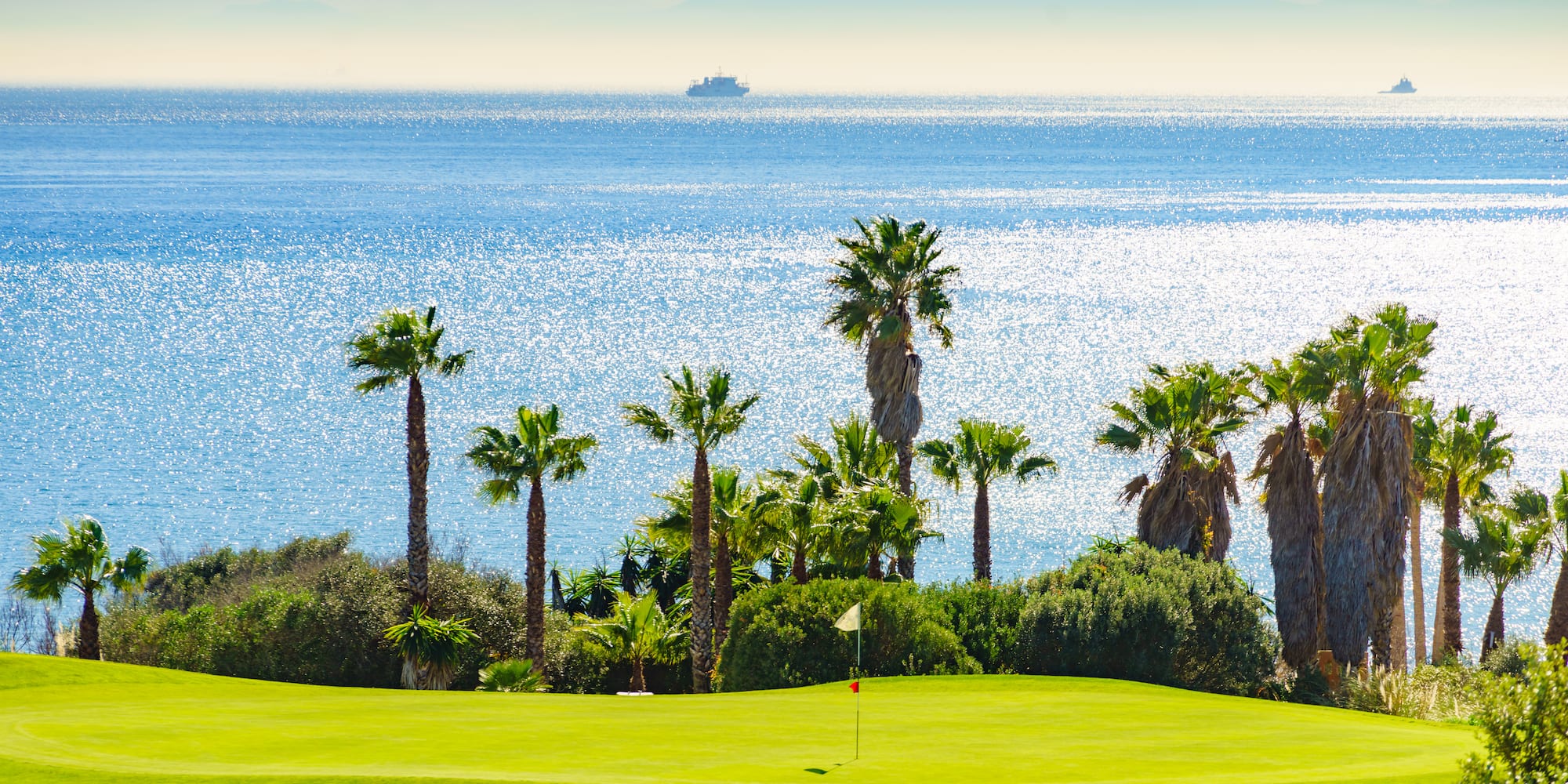 a golf course with palm trees and a body of water