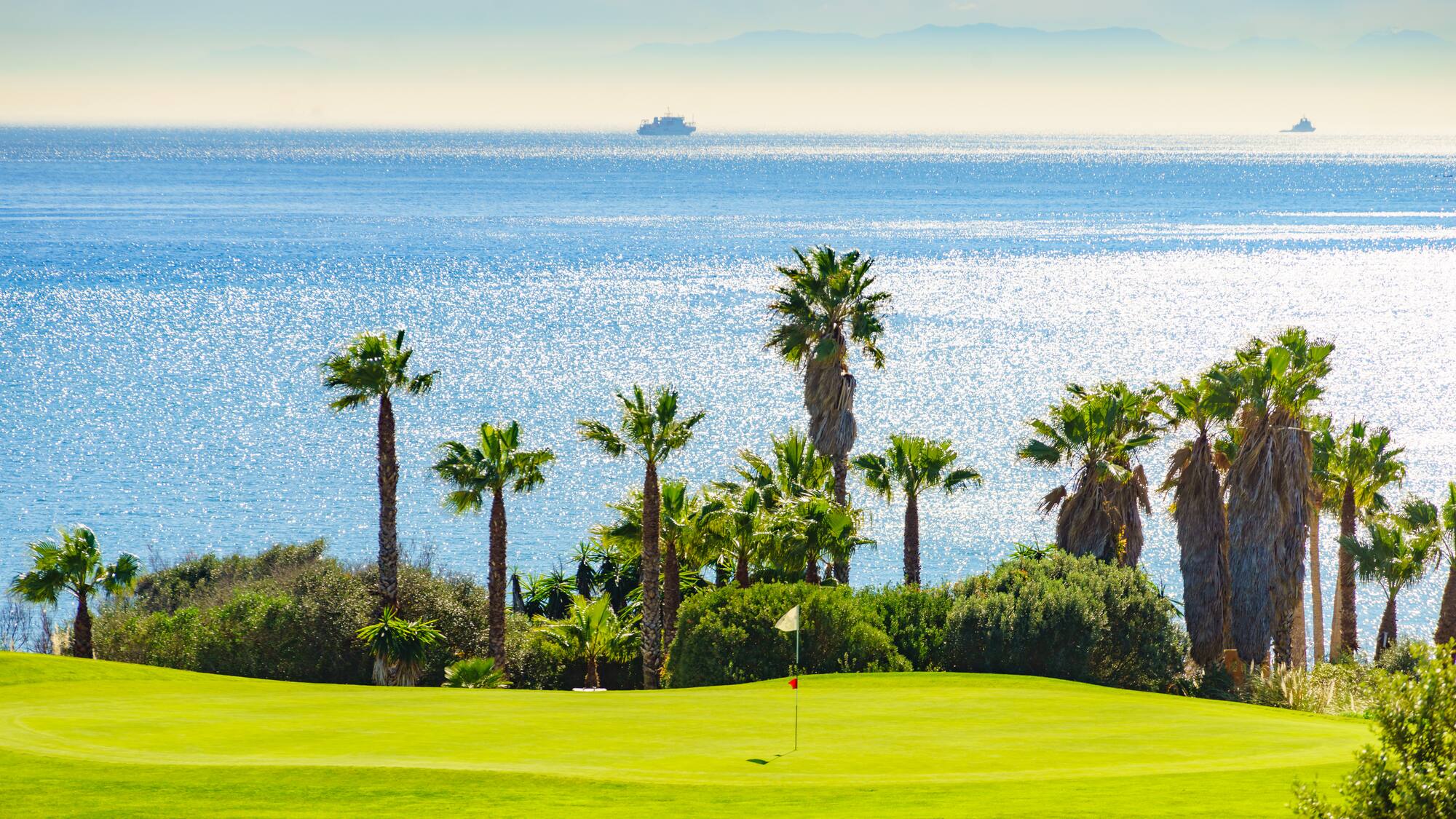 a golf course with palm trees and a body of water