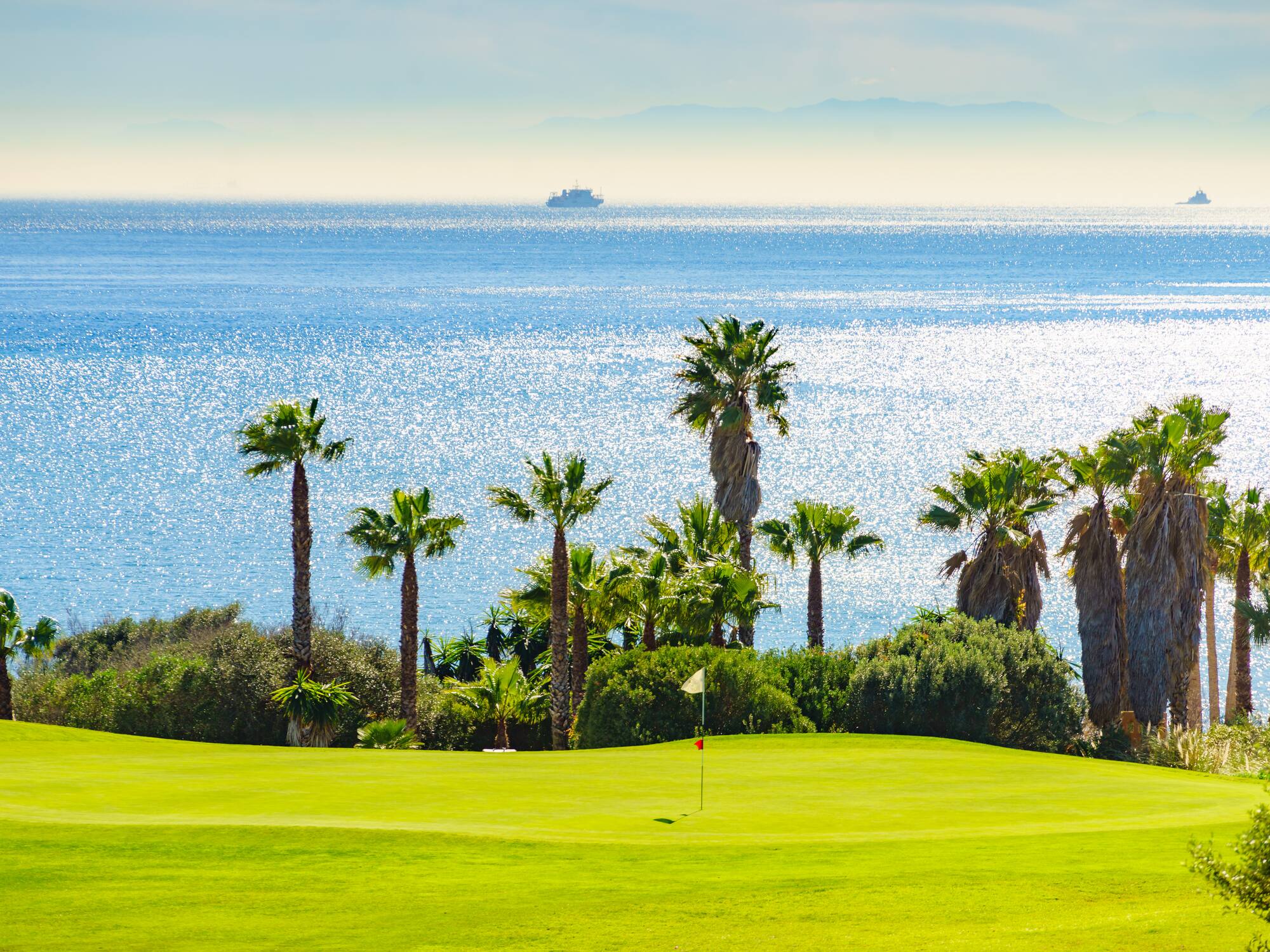 a golf course with palm trees and a body of water