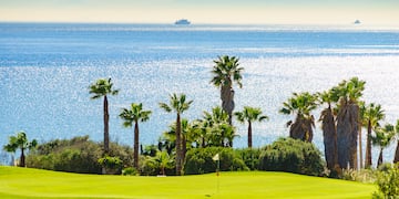 a golf course with palm trees and a body of water