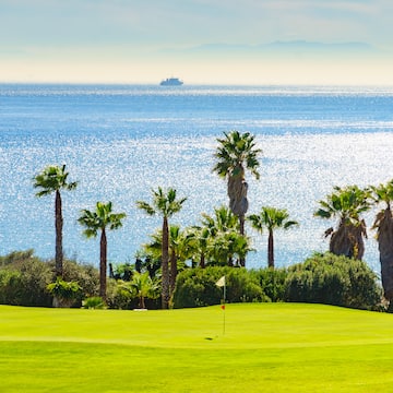 a golf course with palm trees and a body of water