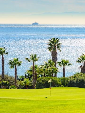 a golf course with palm trees and a body of water
