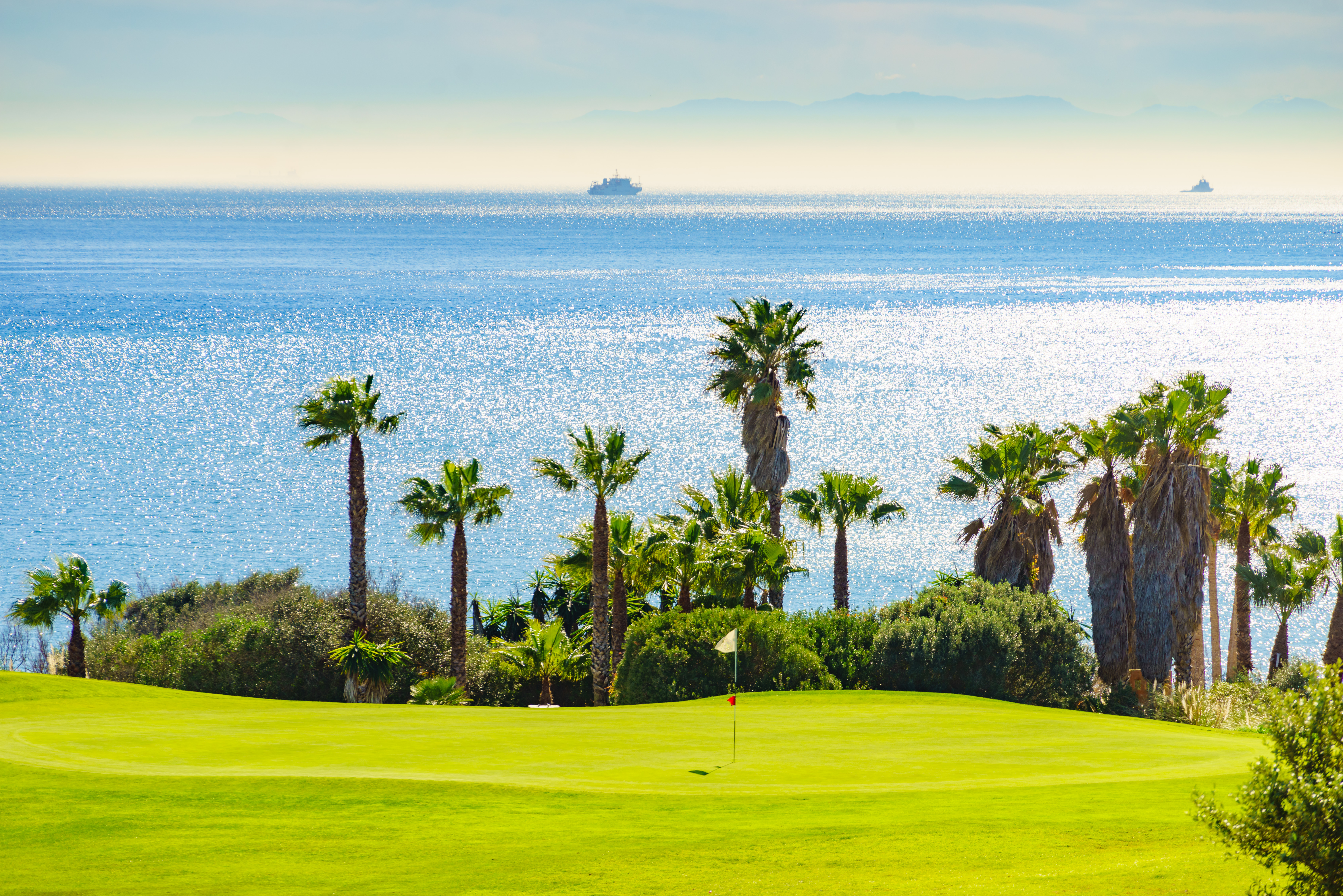 Lush golf course green, palm trees, sparkling ocean, and distant ships.