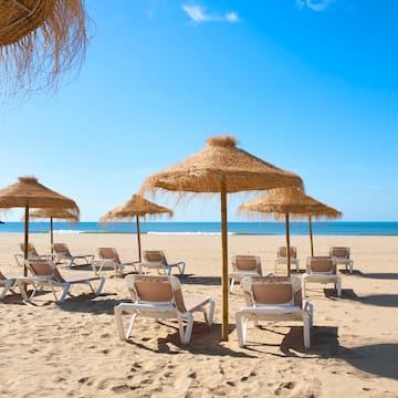 a group of chairs and umbrellas on a beach