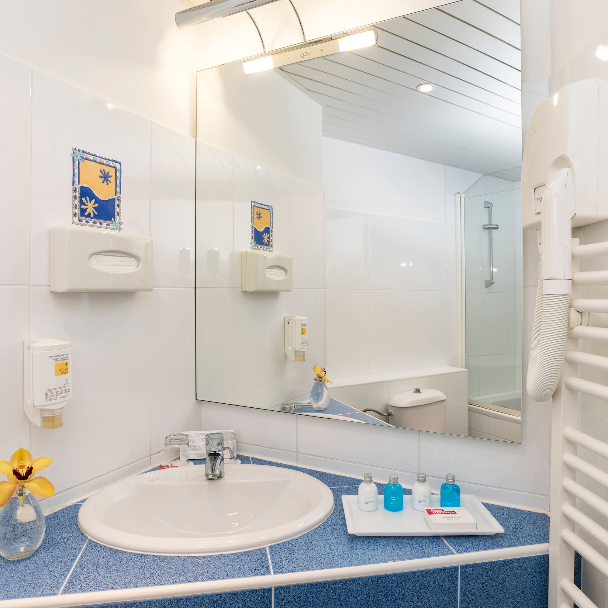 a bathroom with a sink and mirror