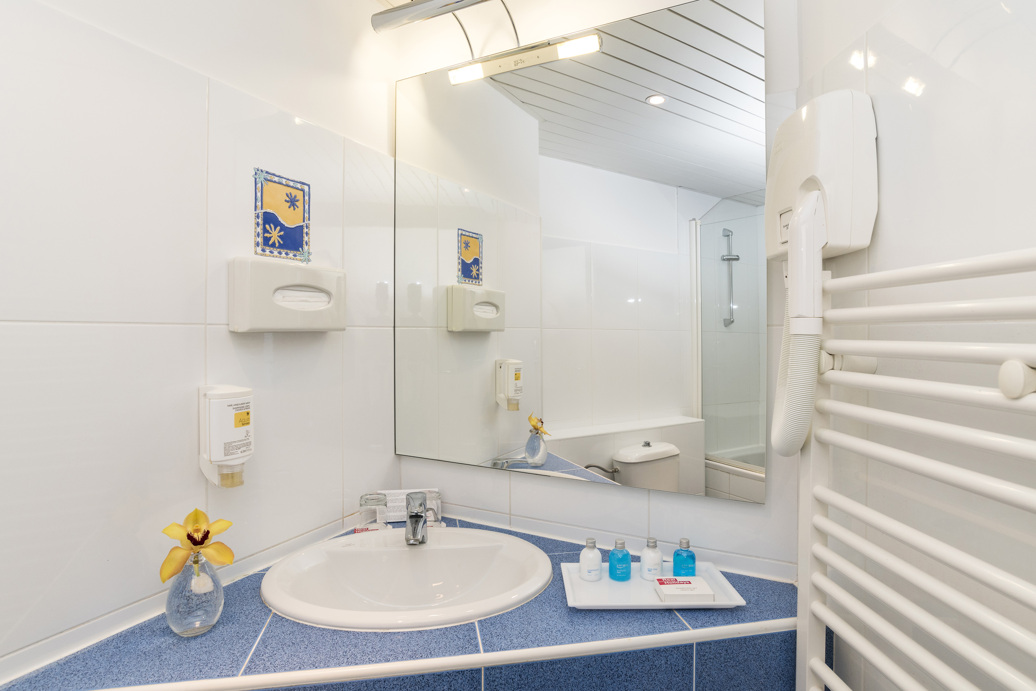 a bathroom with a sink and mirror