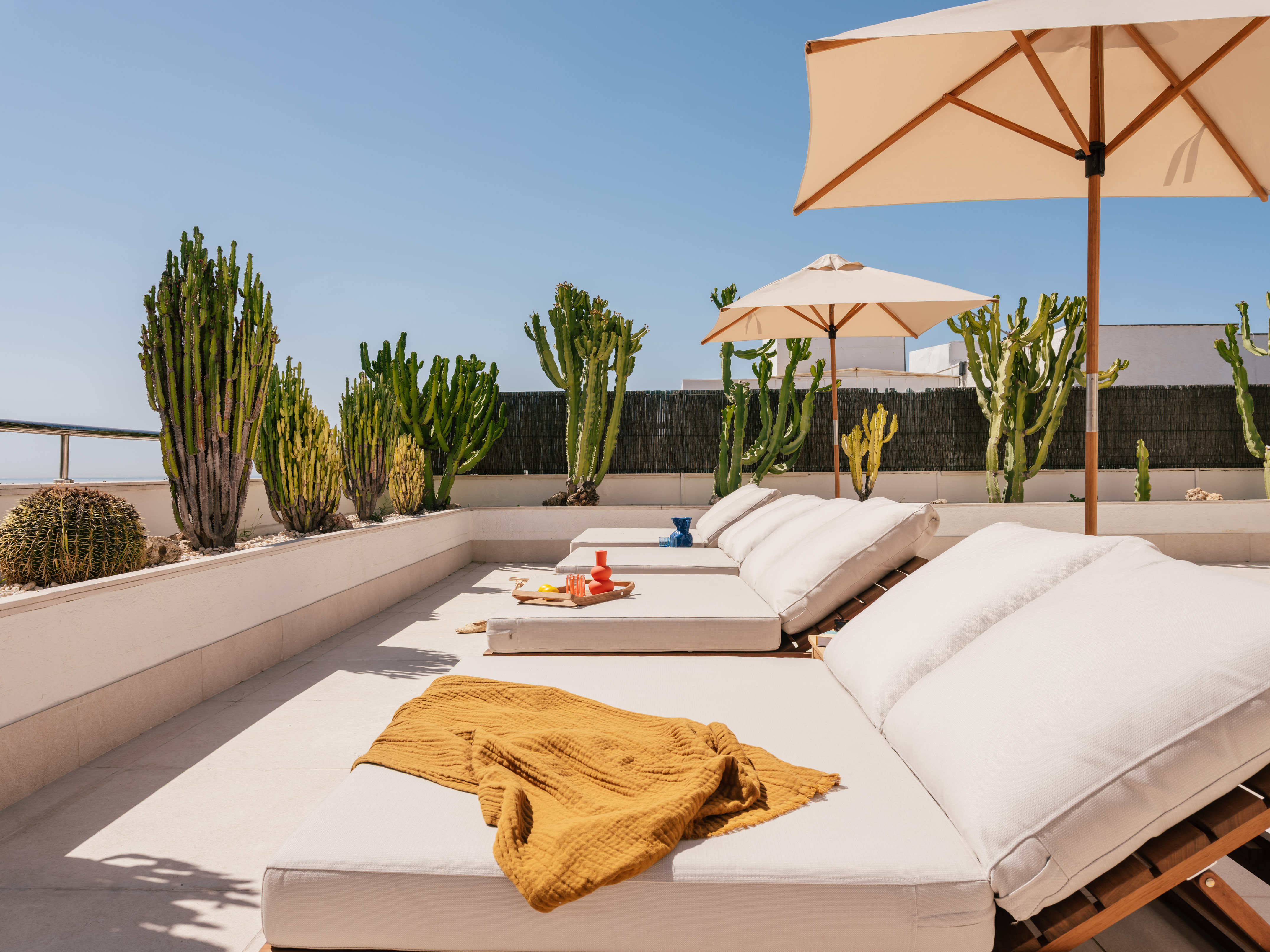 Sunny rooftop terrace, white loungers, cocktails, desert cacti.