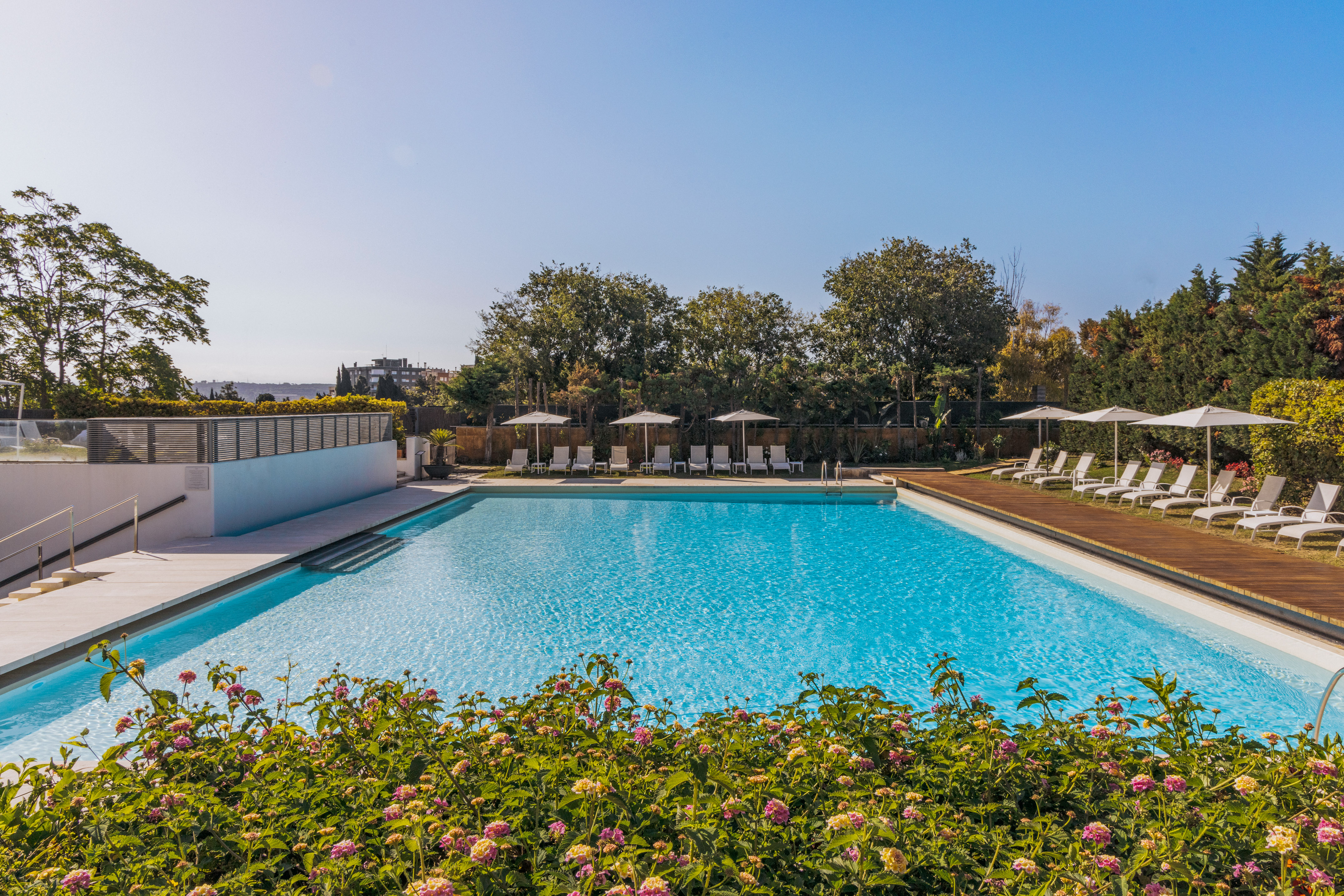 Outdoor swimming pool with sun loungers, umbrellas, and flowering garden.