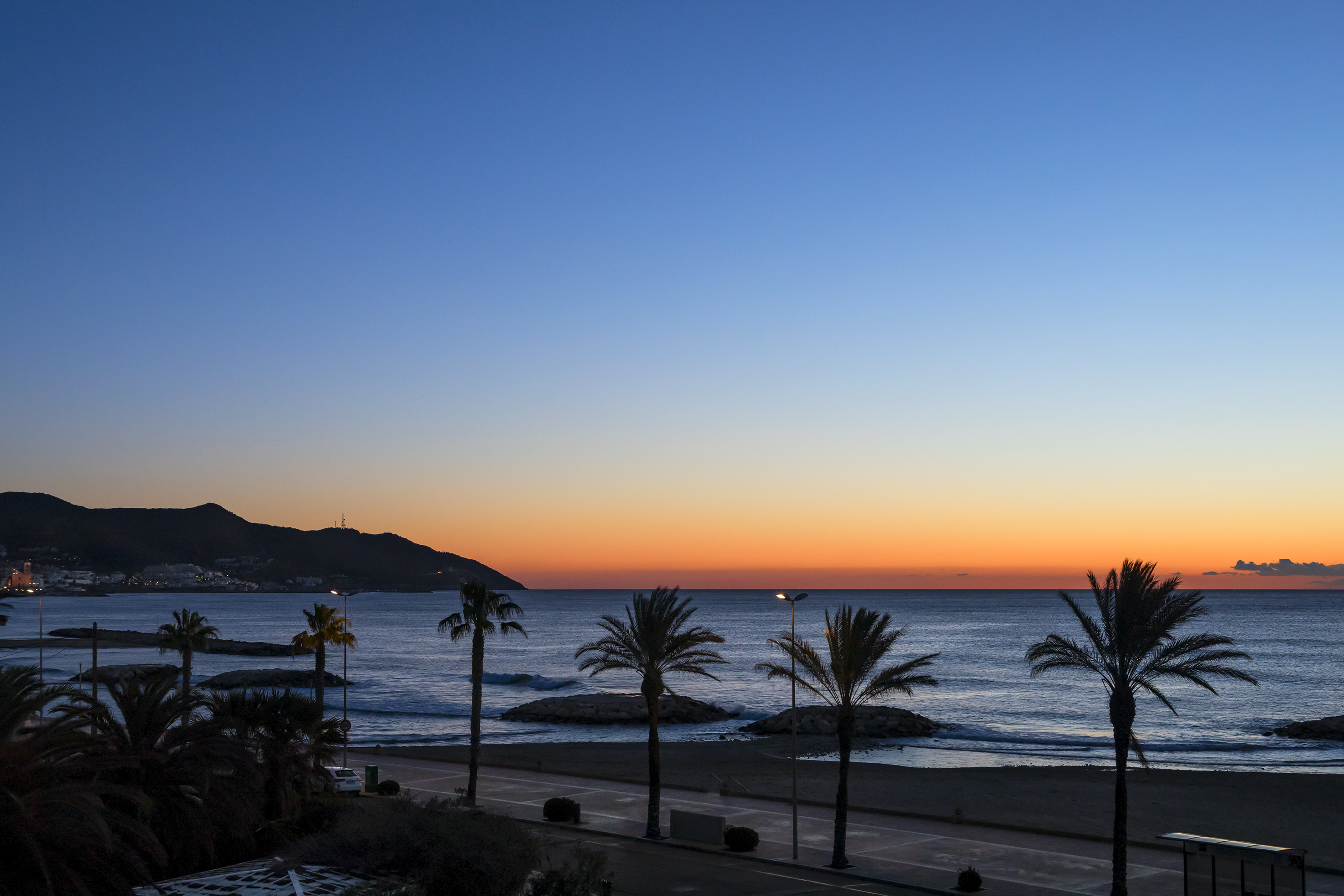 Coastal sunrise with palm trees, ocean, and a vibrant orange sky.