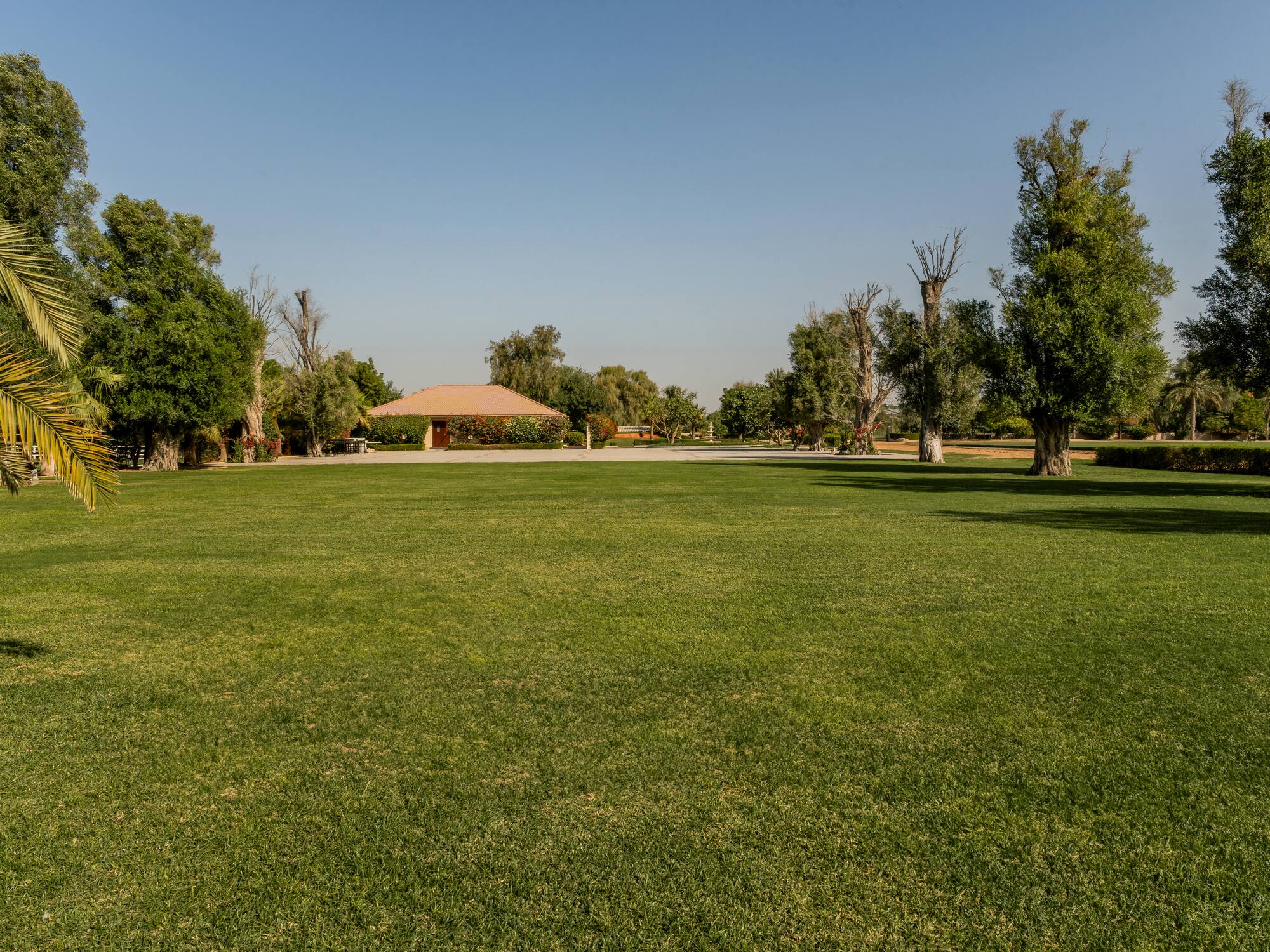 a large grassy area with trees and a building in the background