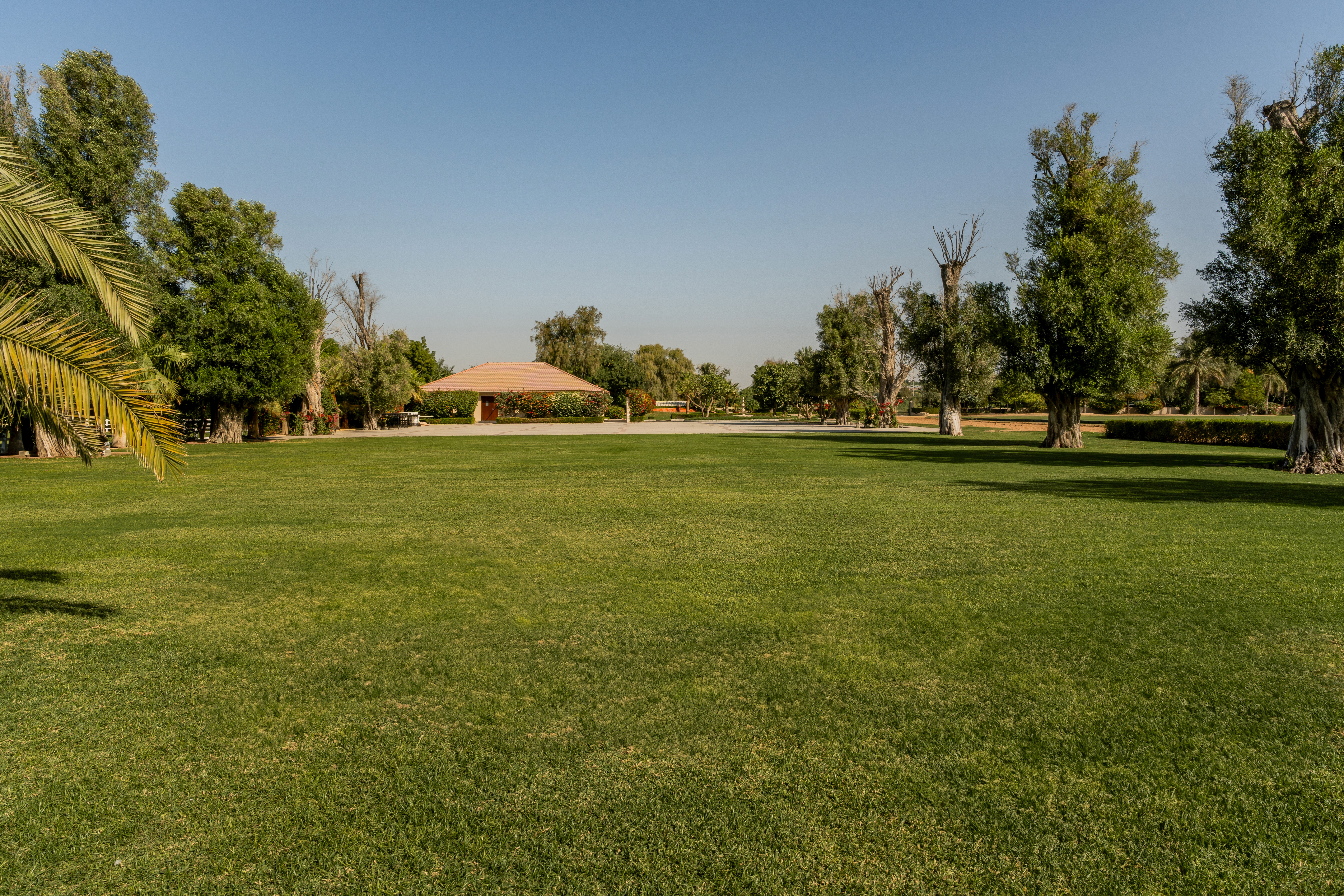 Vast green lawn, mature trees, and building under a clear blue sky.