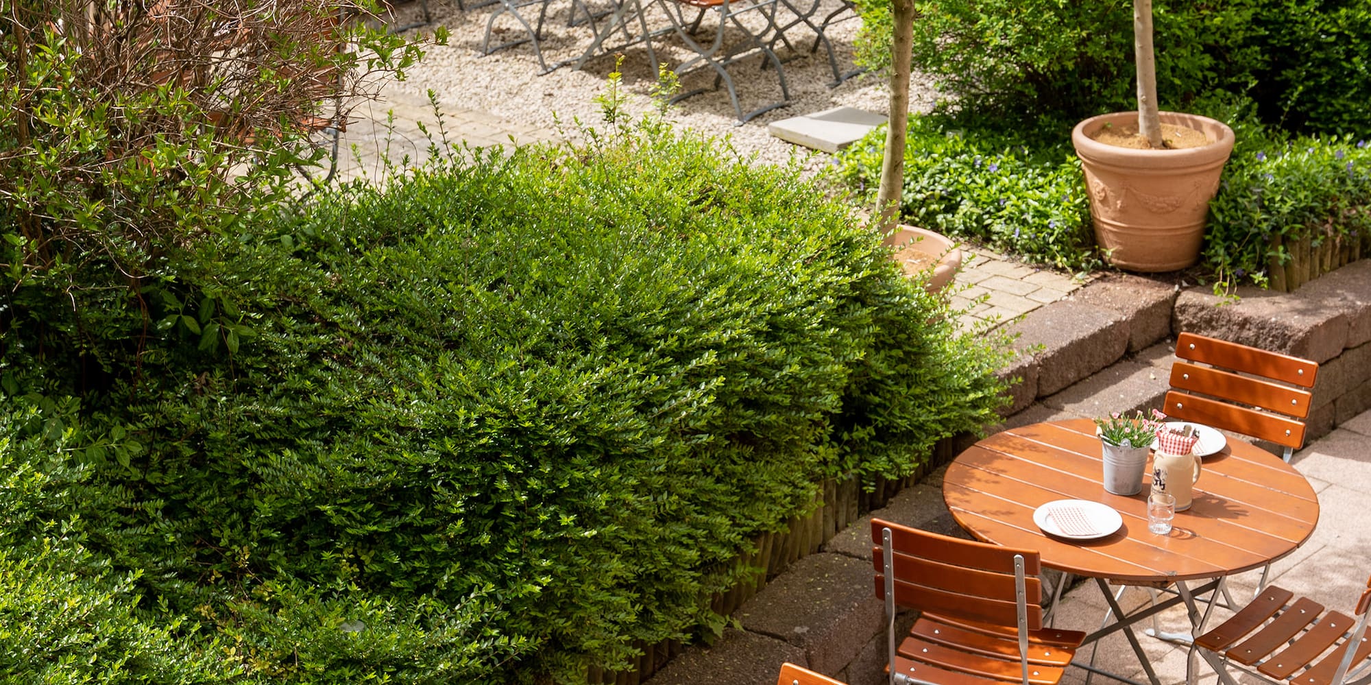 a table and chairs outside with trees and bushes