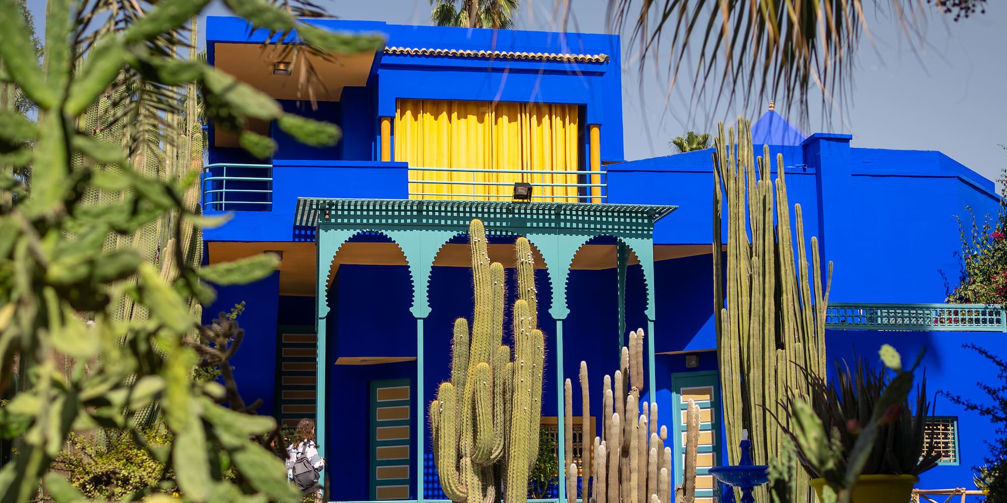 a blue house with cactuses in the front