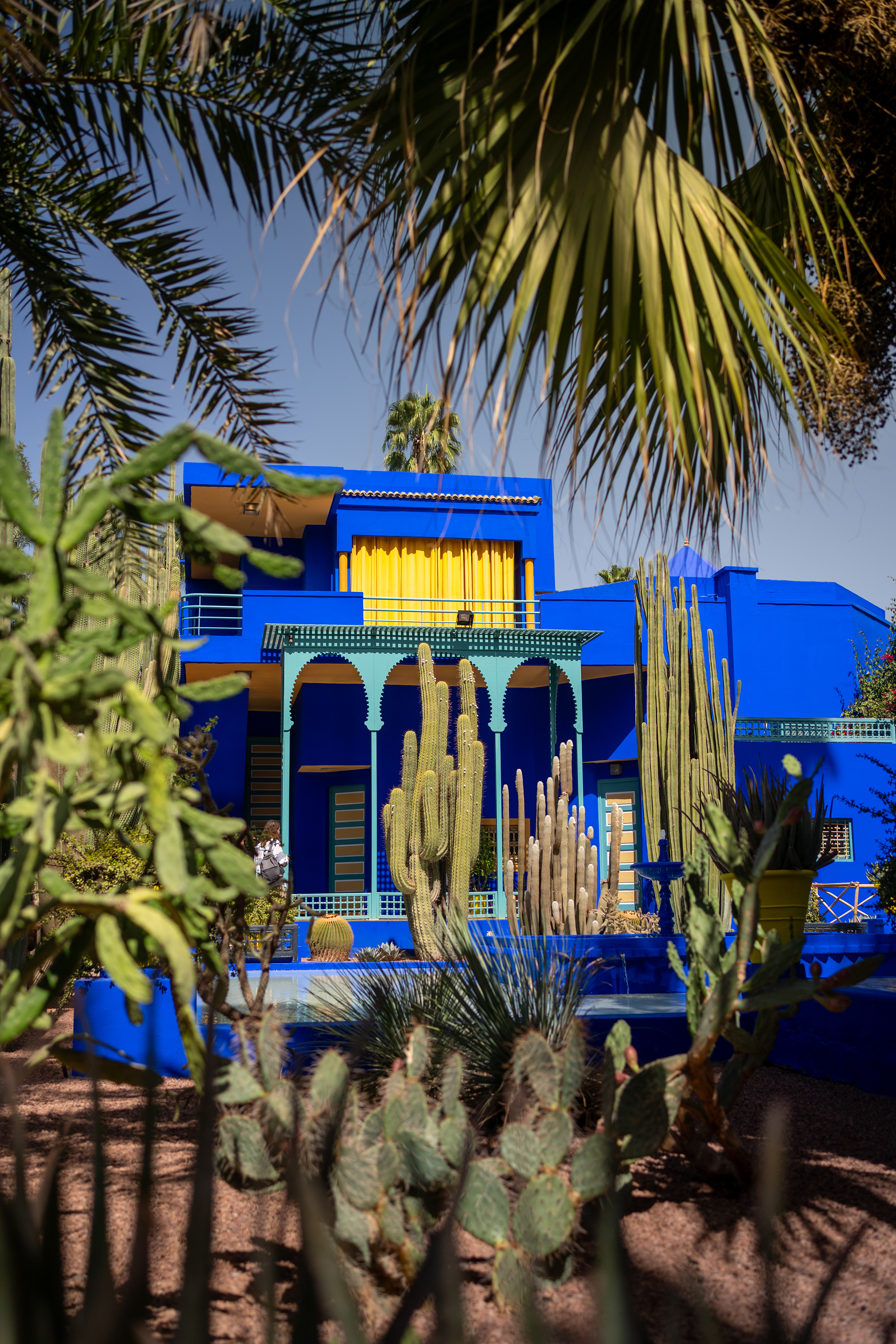 Jardin Majorelle blue building with yellow trim, framed by cacti and palm trees.
