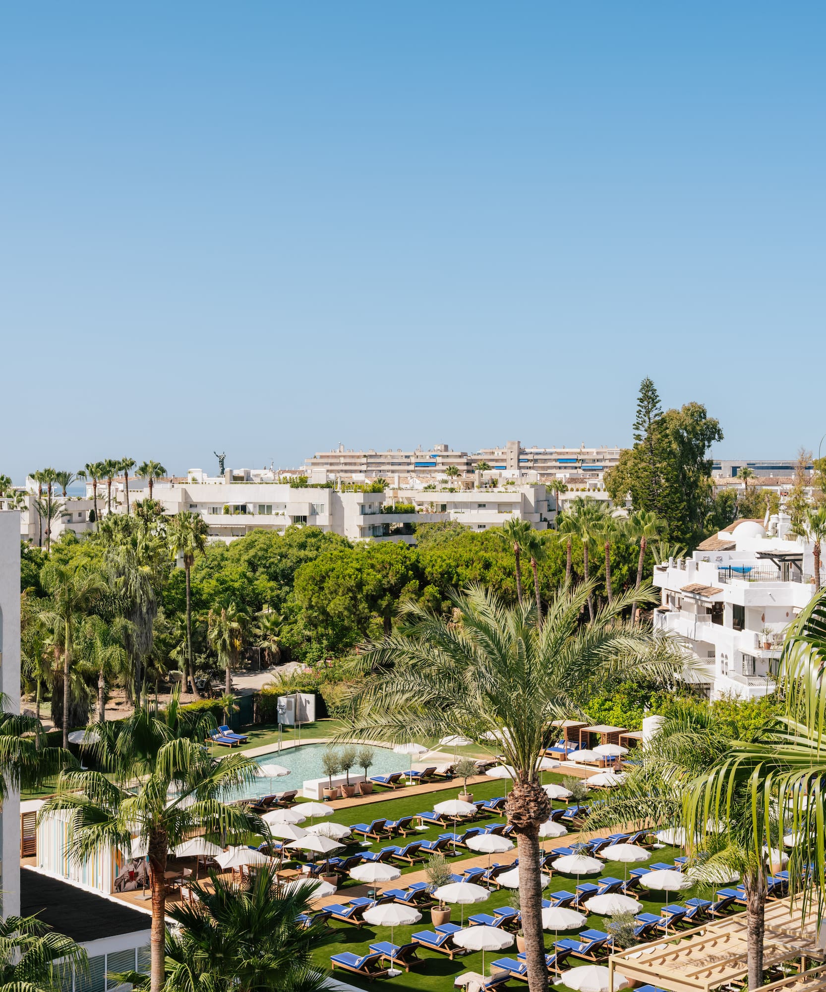 a pool area with palm trees and buildings