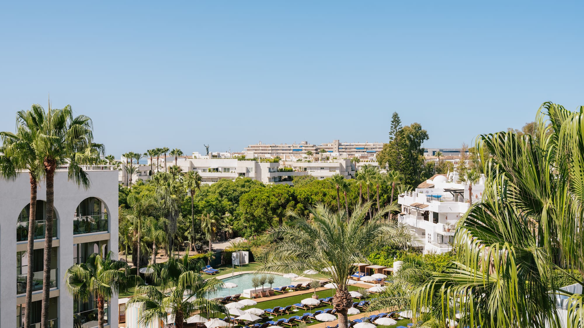 a pool area with palm trees and buildings