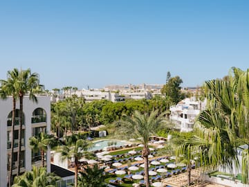 a pool area with palm trees and buildings