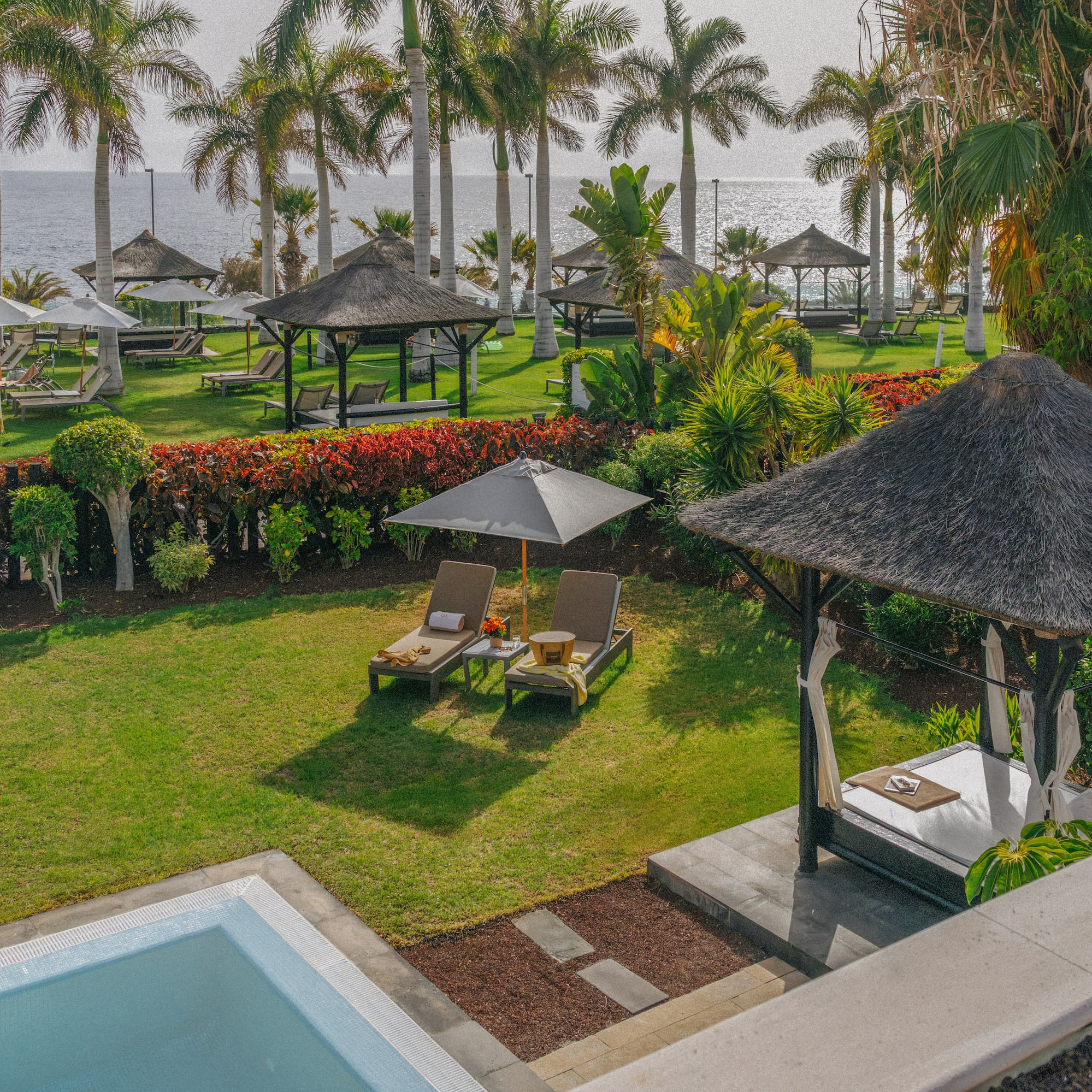 Tropical garden with palm trees, ocean, sun loungers, thatched cabanas, and pool.