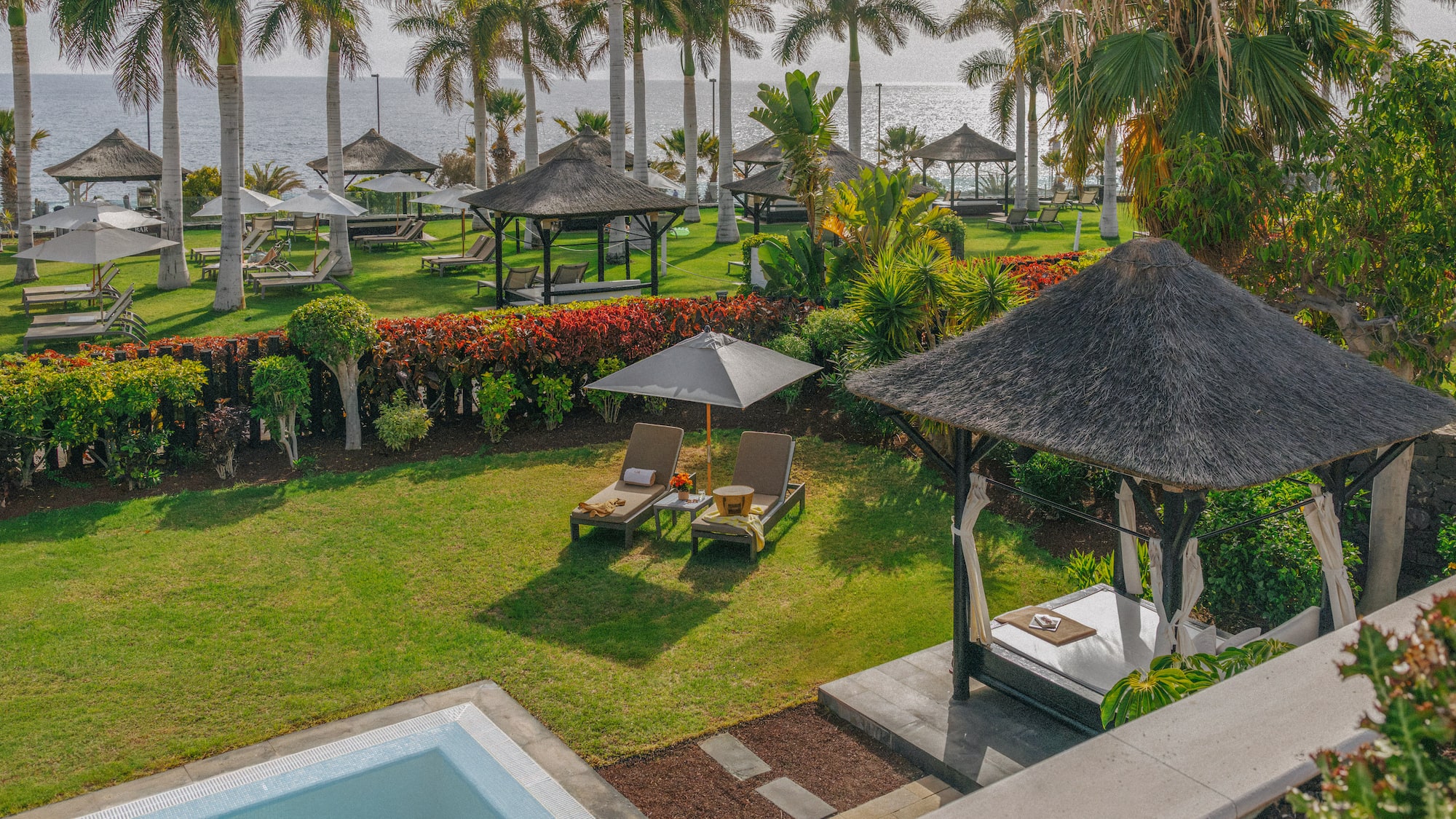 Oceanfront resort garden with palm trees, thatched gazebos, and sun loungers.