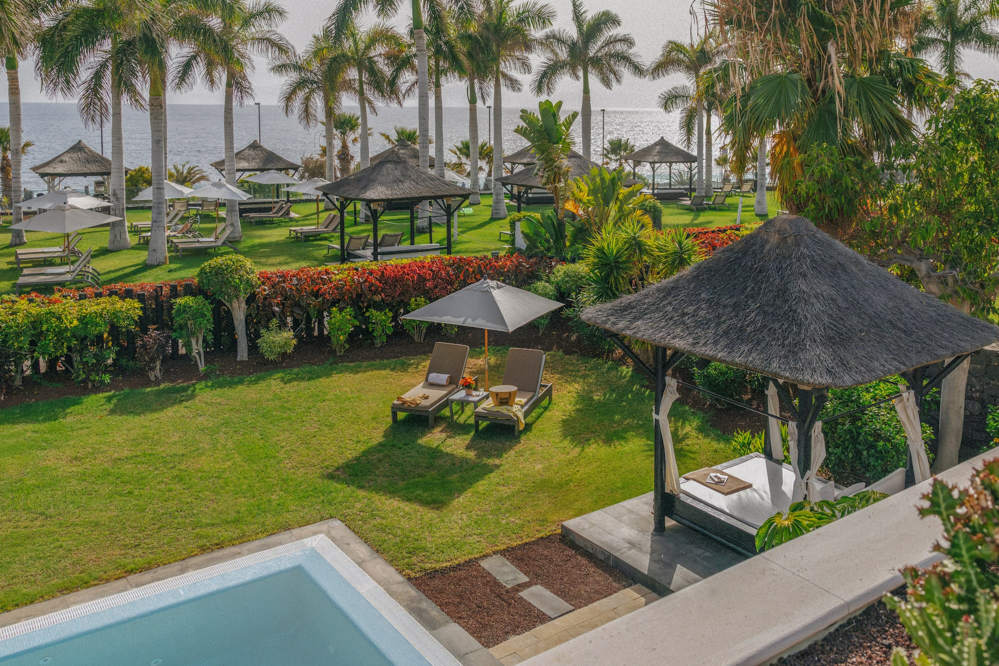 Oceanfront resort garden with palm trees, thatched gazebos, and sun loungers.