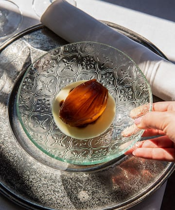 a hand holding a plate of food