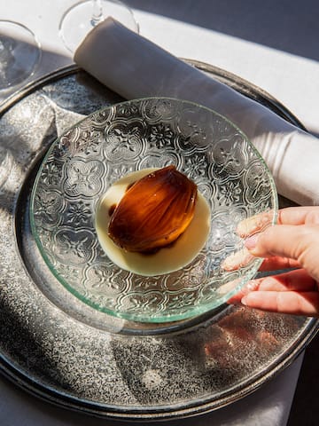 a hand holding a plate of food