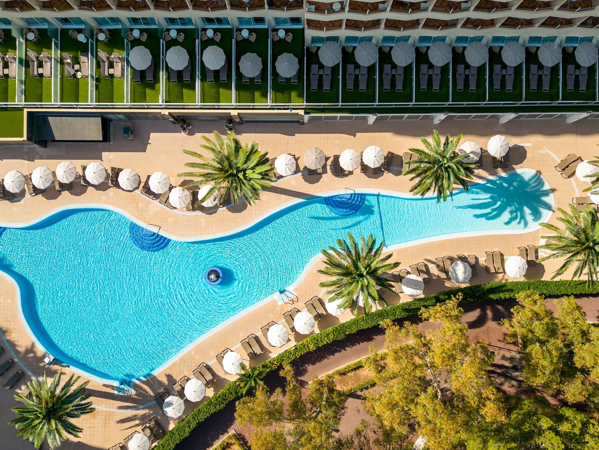 a swimming pool with umbrellas and palm trees