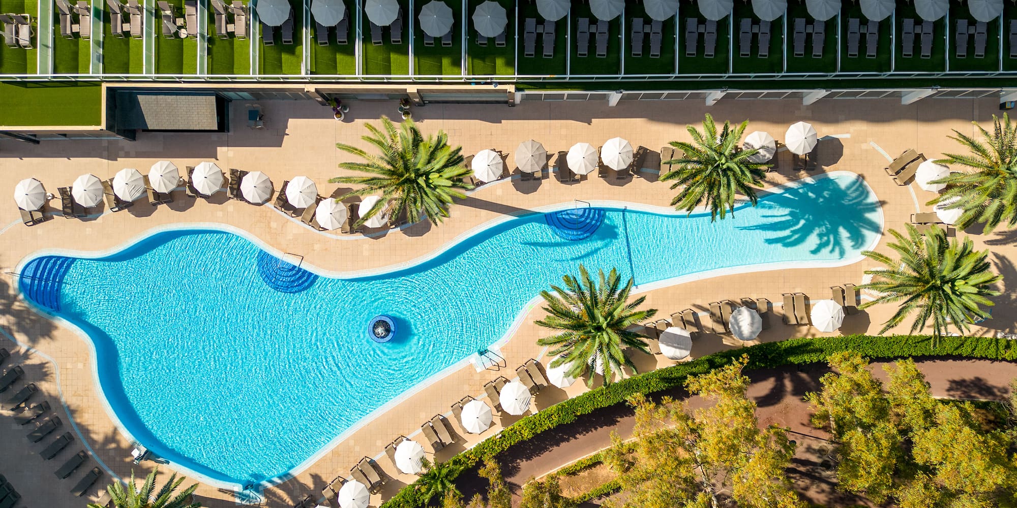 a swimming pool with umbrellas and palm trees