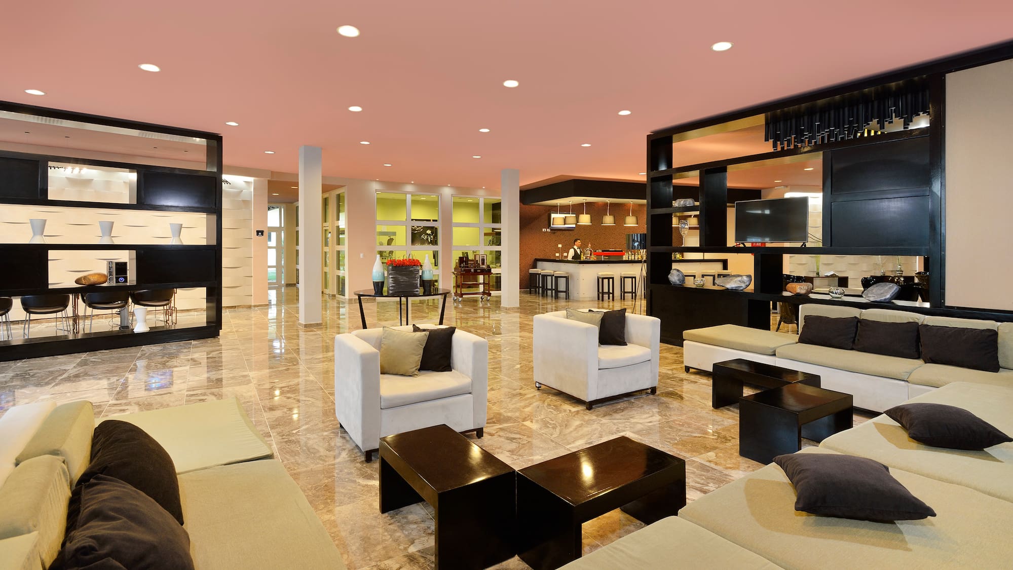 a room with couches and tables