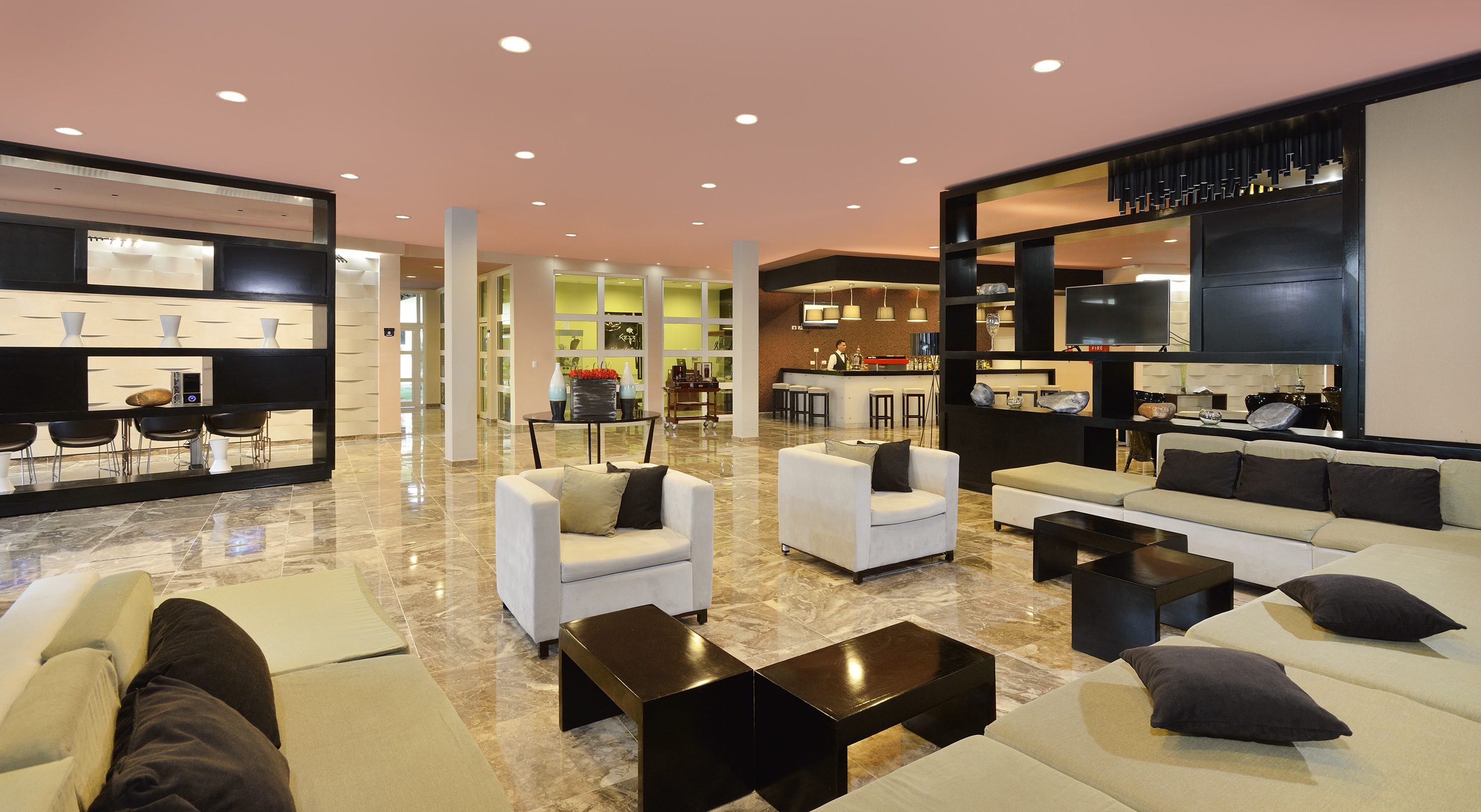 a room with couches and tables