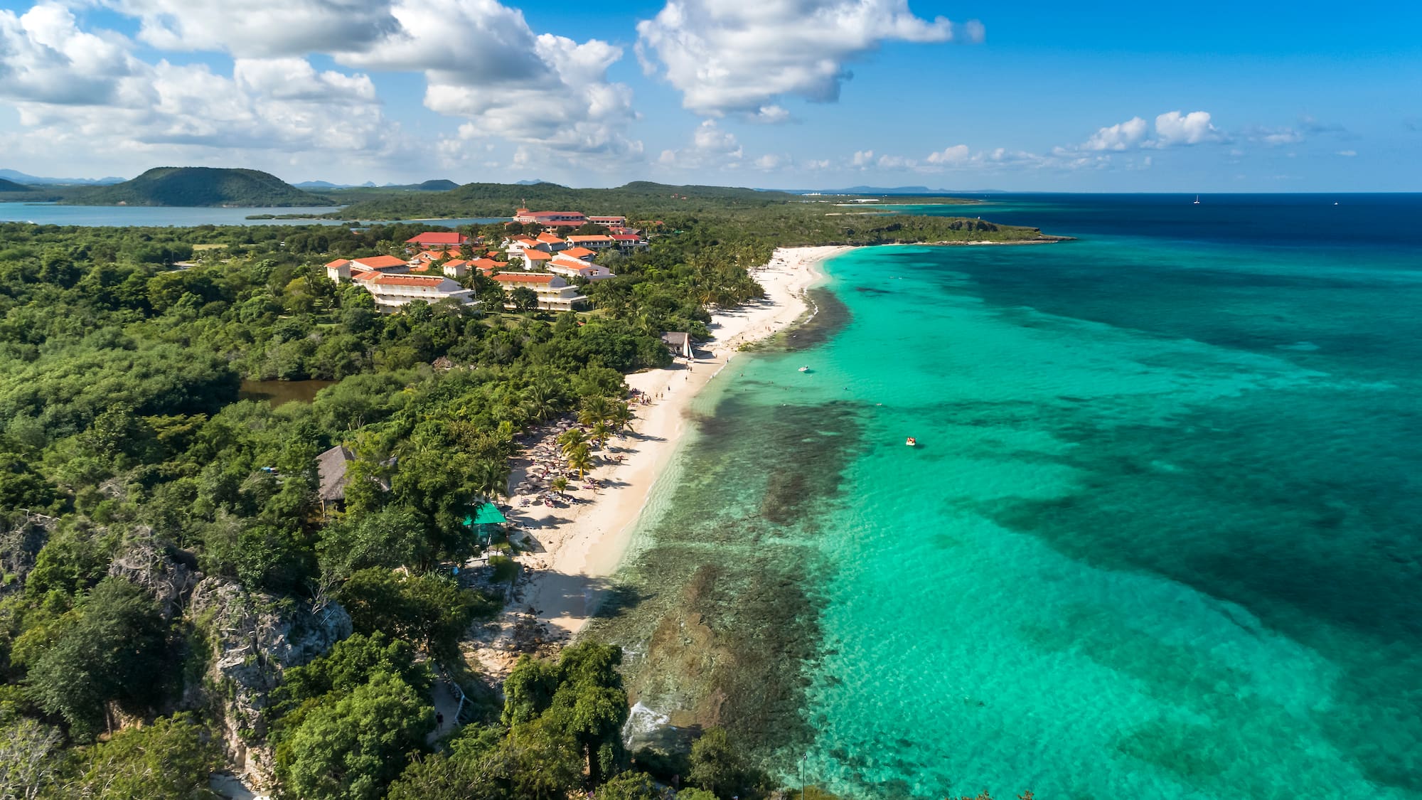 a beach with trees and a body of water