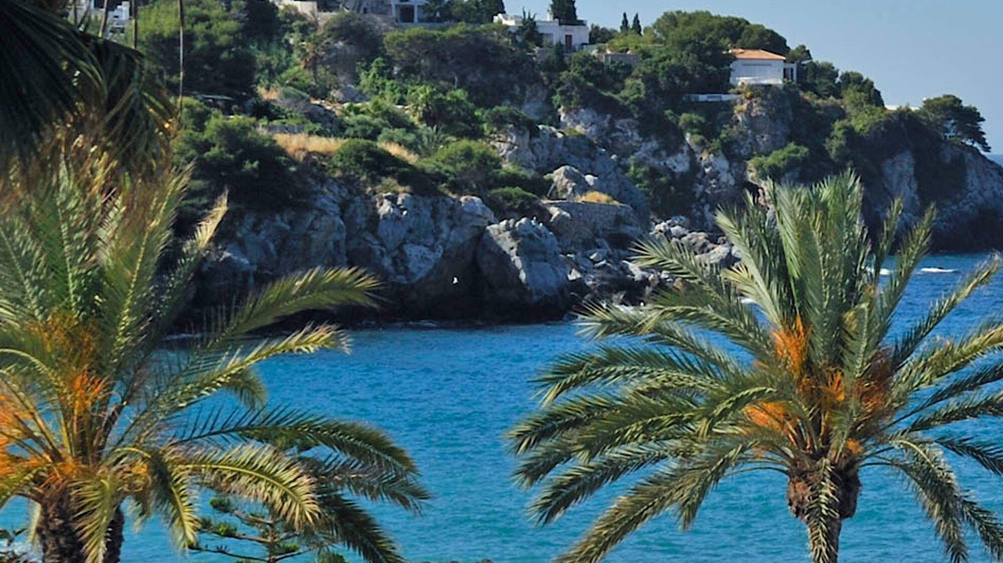 a beach with palm trees and a rocky hill
