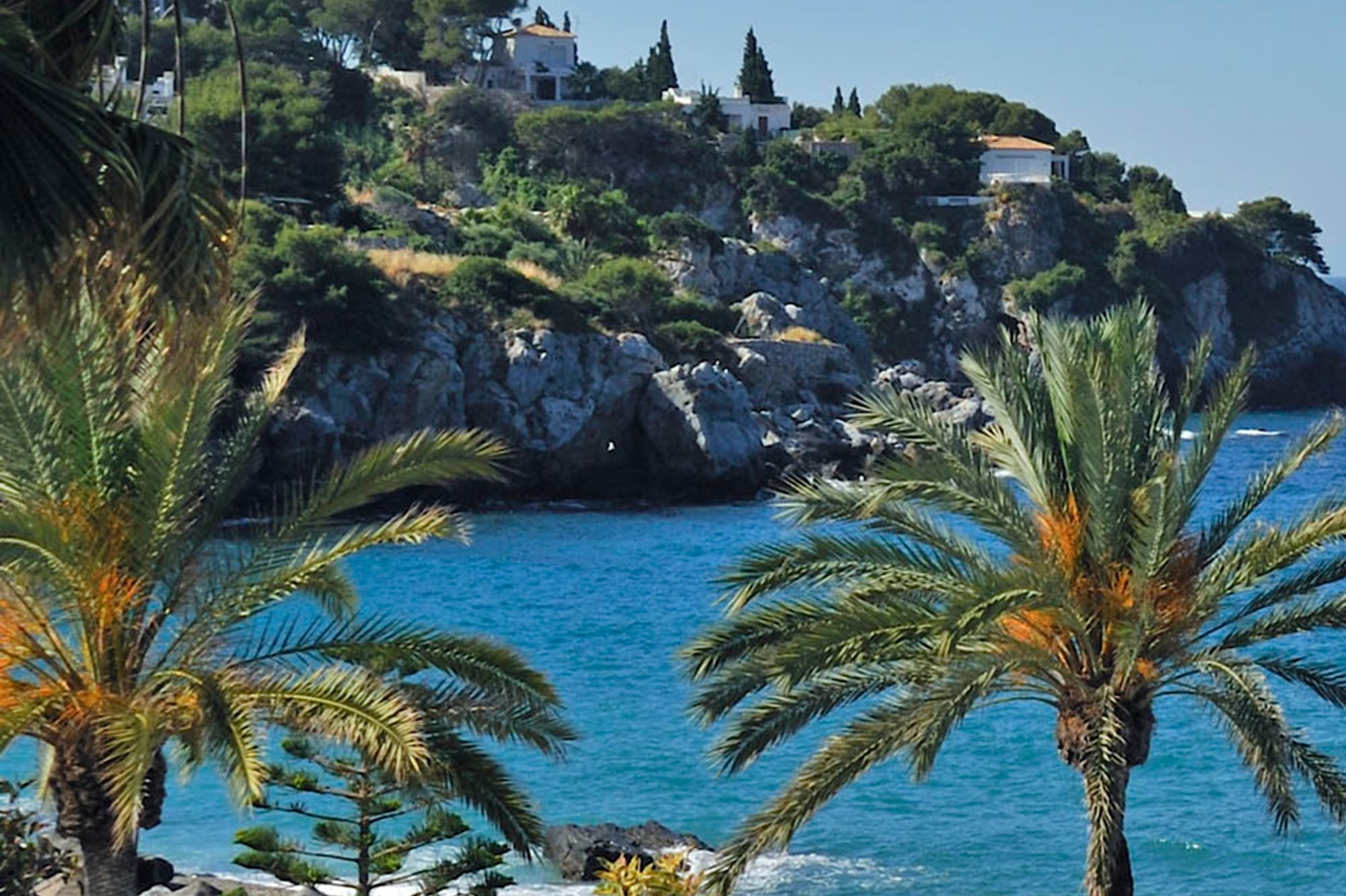 a beach with palm trees and a rocky hill