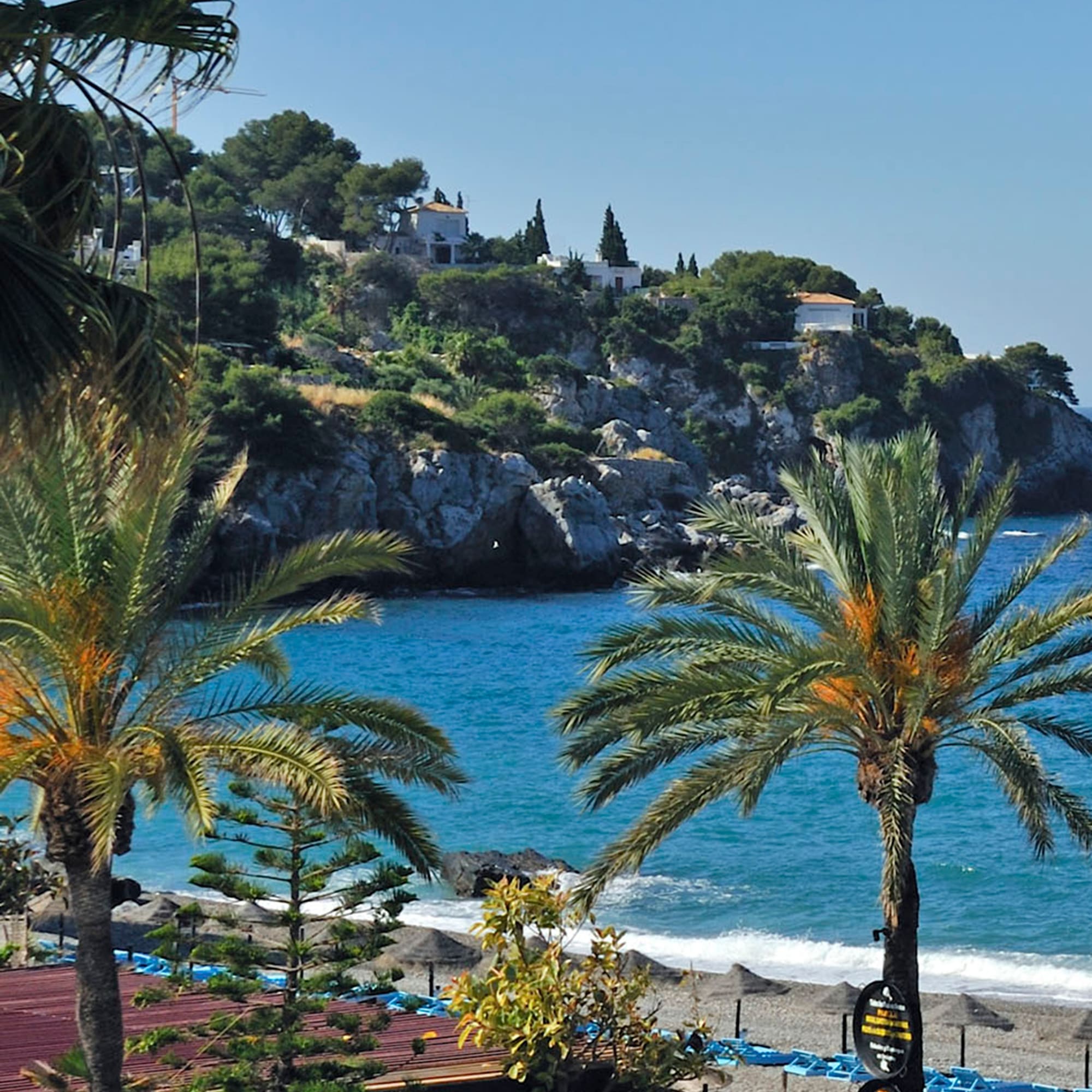a beach with palm trees and a rocky hill