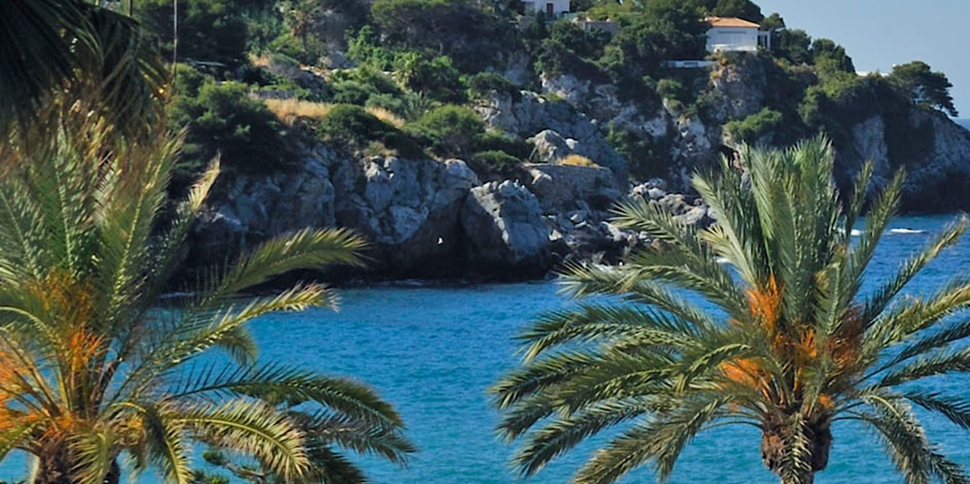 a beach with palm trees and a rocky hill