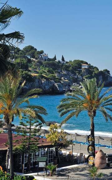 a beach with palm trees and a rocky hill