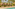 Tropical resort pool with lounge chairs, thatched huts, and palm trees.