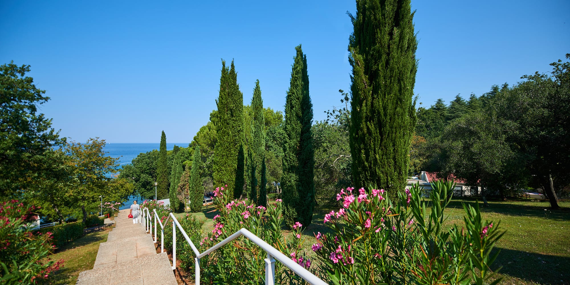 a walkway with white railings and trees and flowers