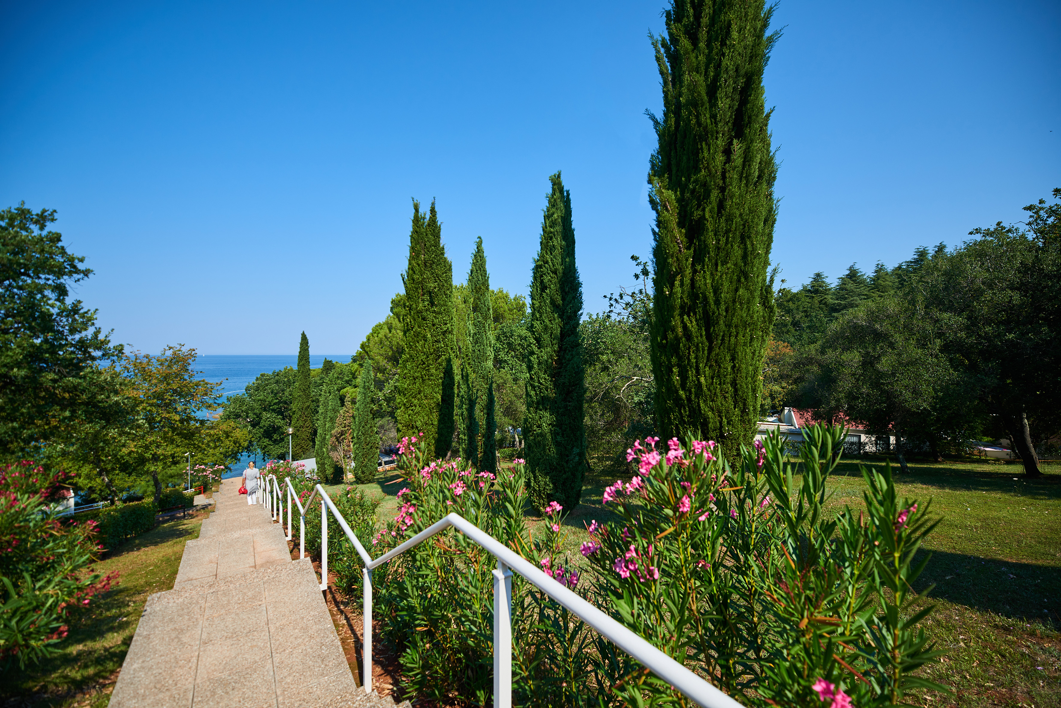 a walkway with white railings and trees and flowers