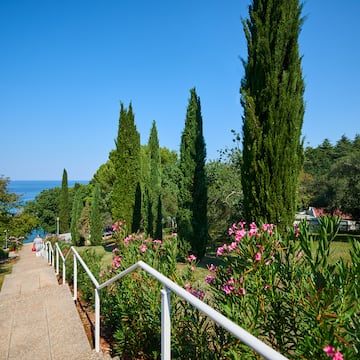 a walkway with white railings and trees and flowers