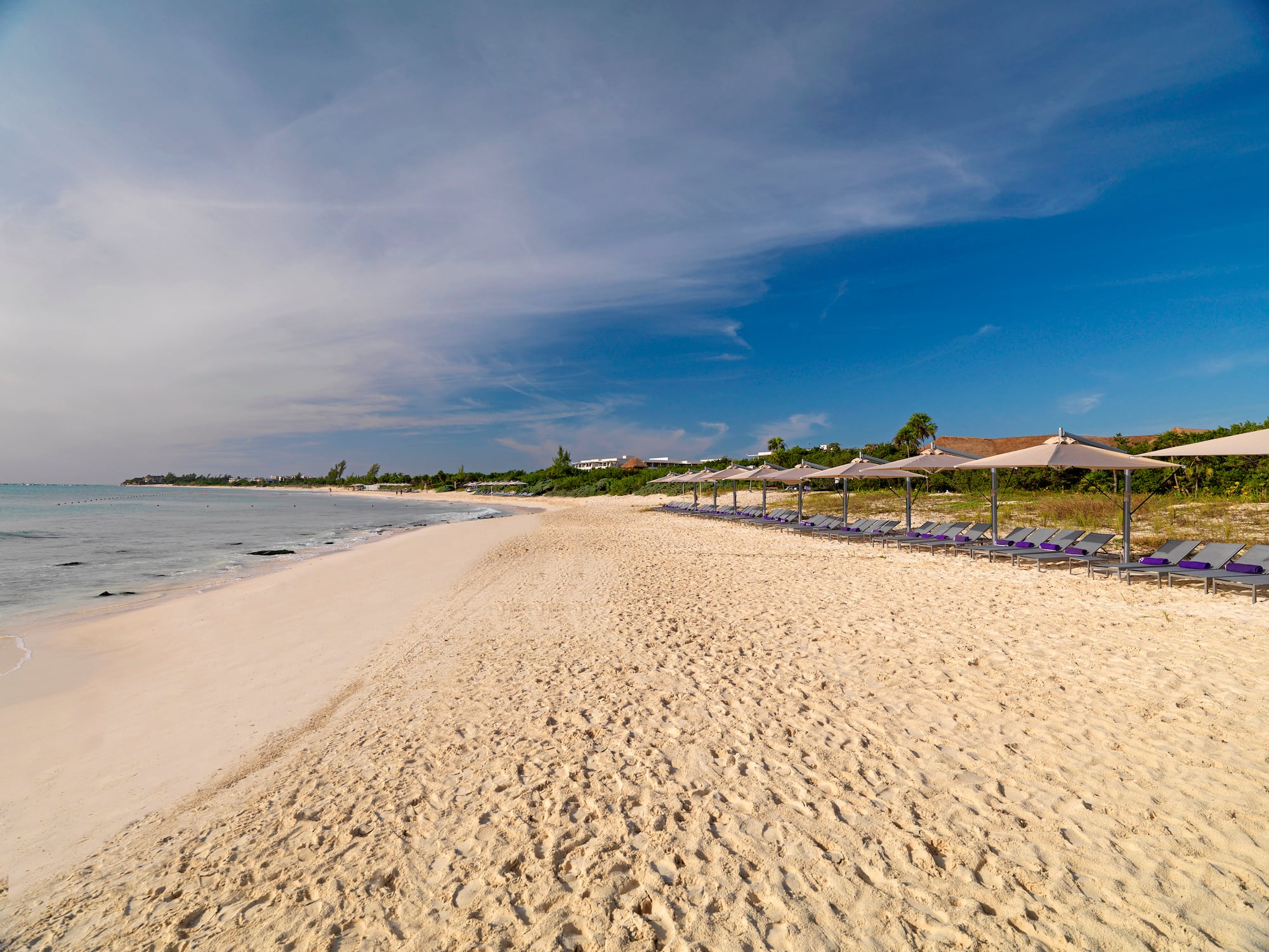 a beach with chairs and umbrellas