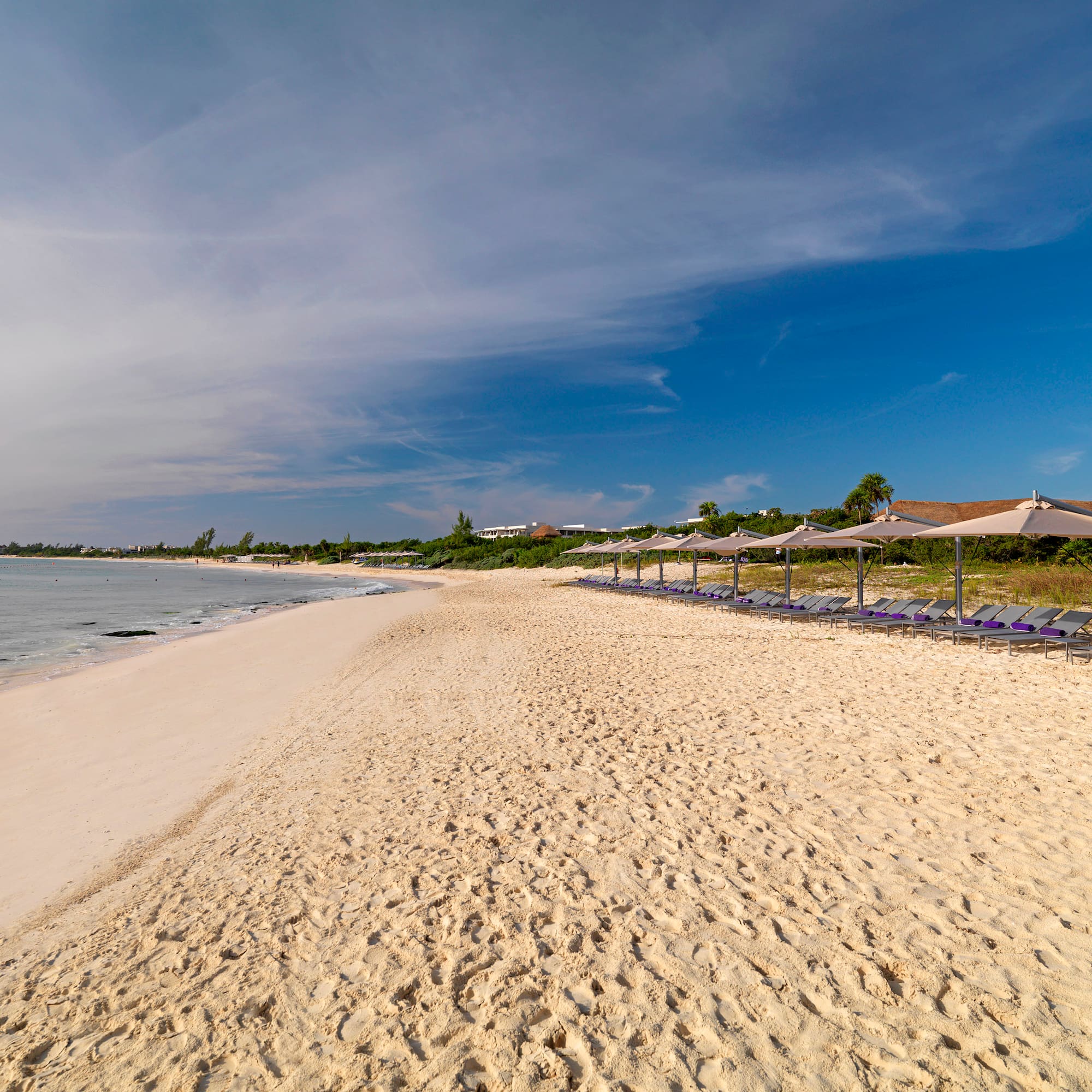 a beach with chairs and umbrellas