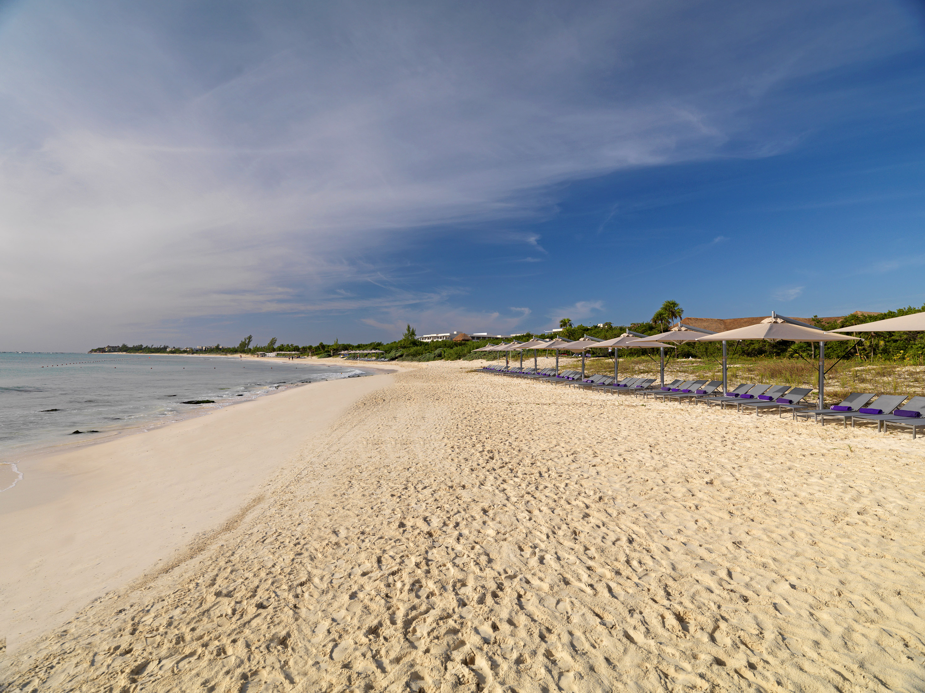 a beach with chairs and umbrellas